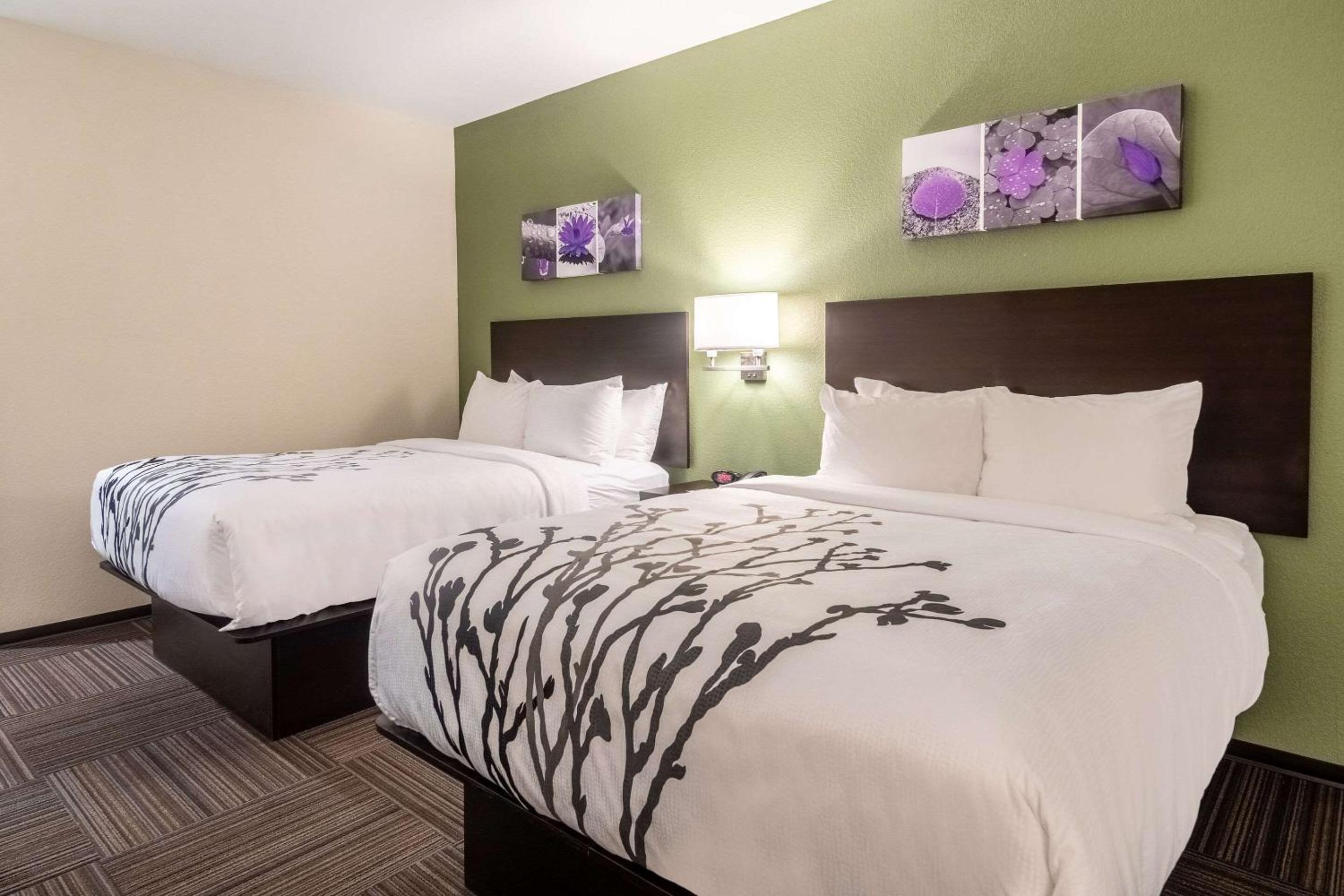 Quadruple Room with Two Queen Beds - Disability Access/Non Smoking - Photo 4