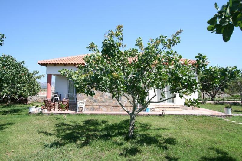 Three-Bedroom Suite