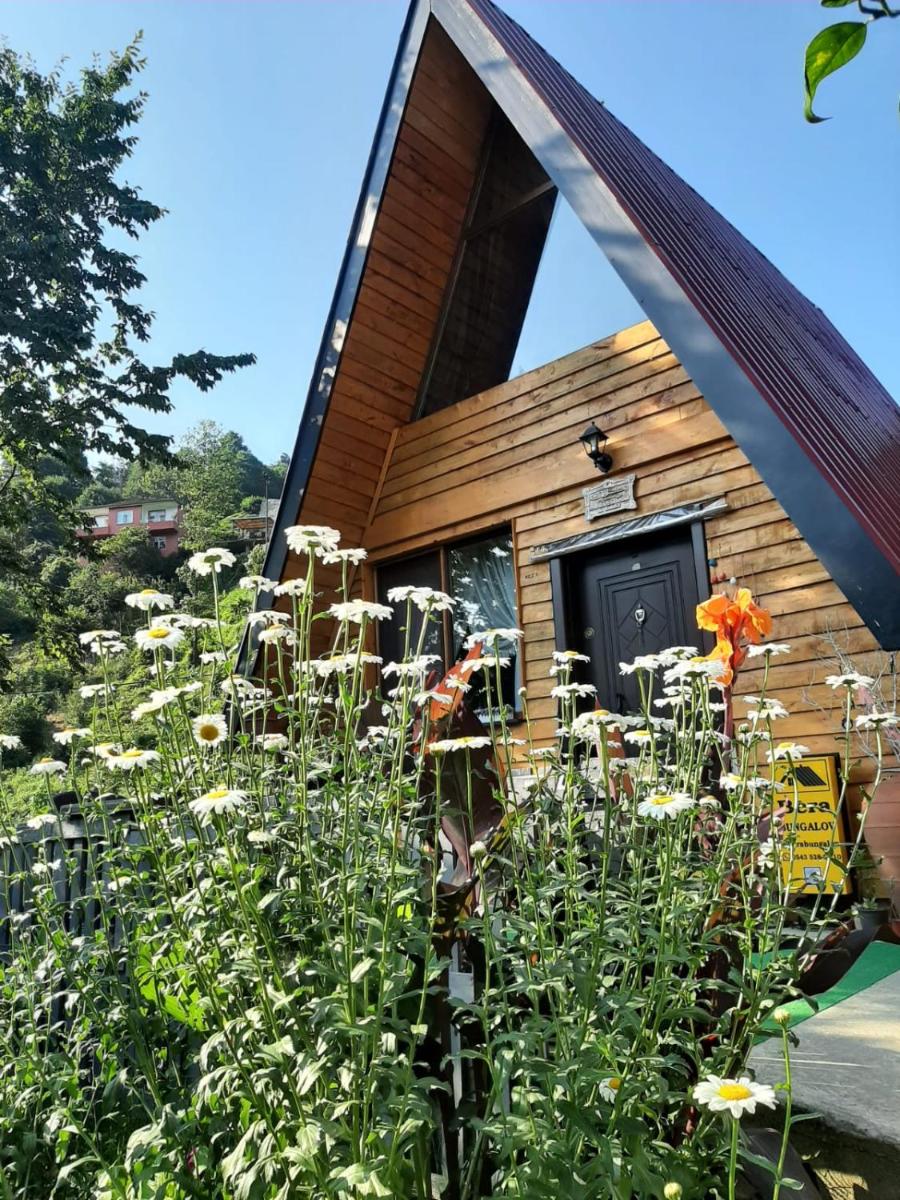 One-Bedroom Chalet photo 1