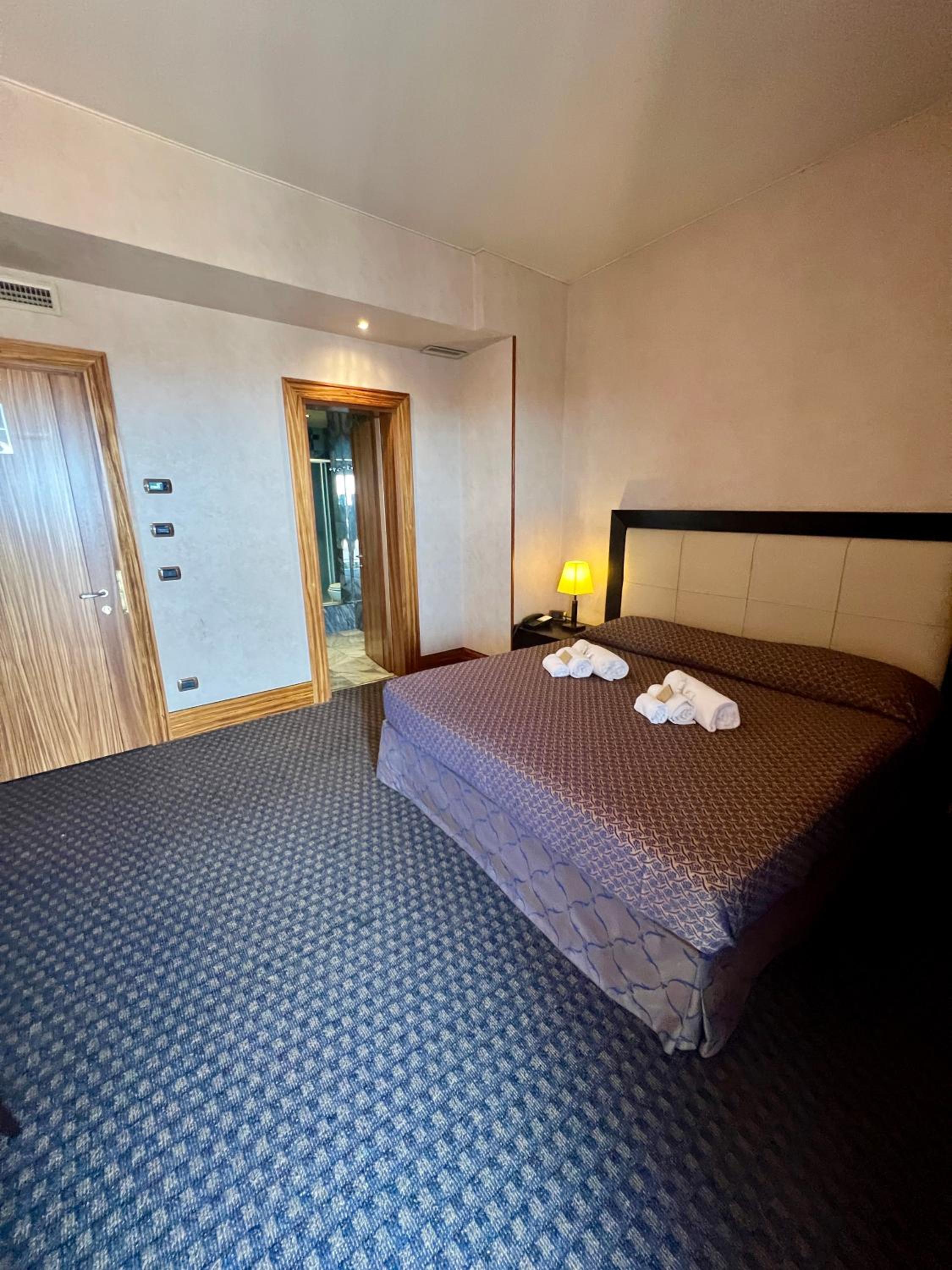 Deluxe Double or Twin Room photo 1