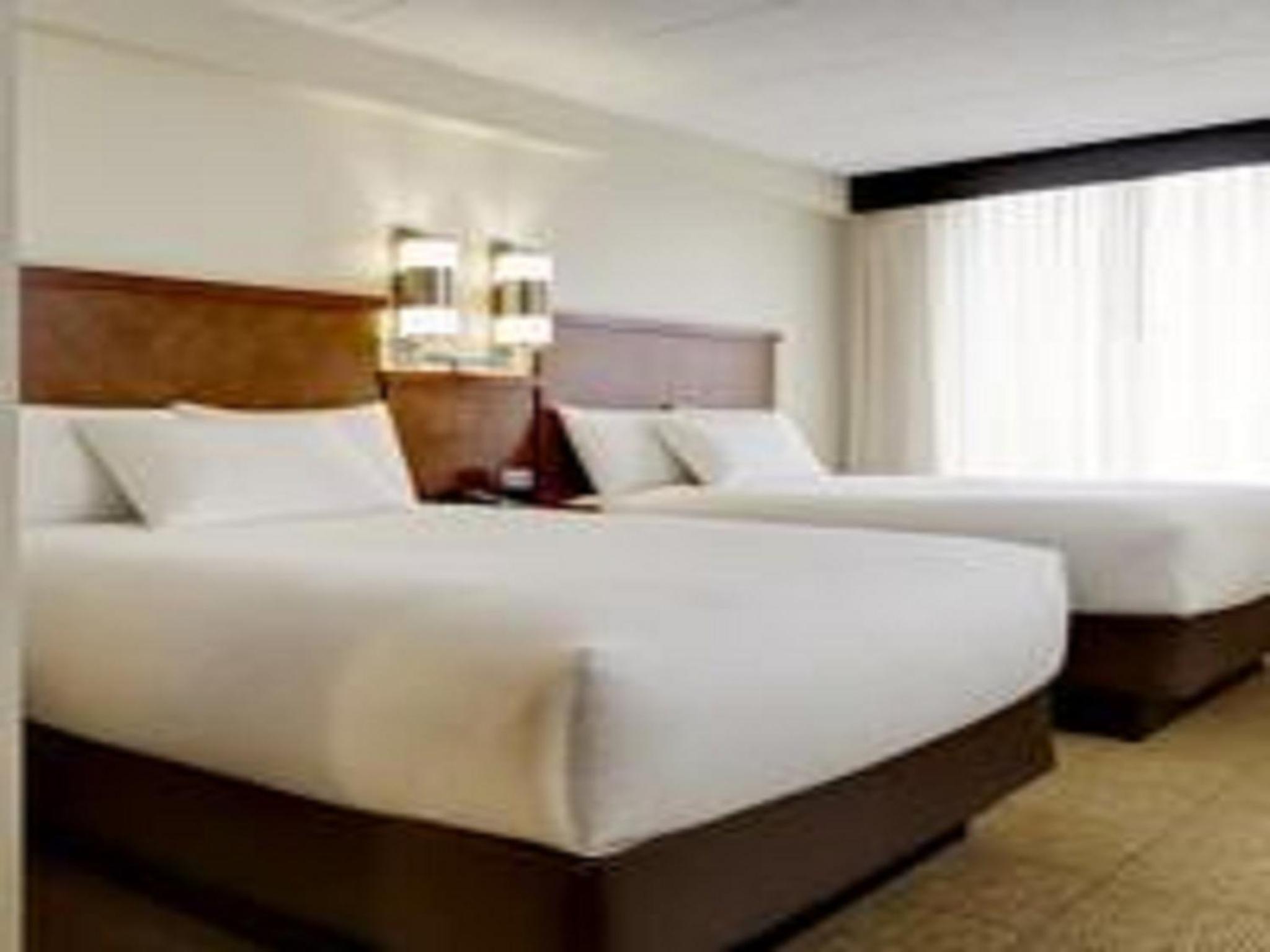 Double Room with Two Double Beds and Sofa Bed - Photo 3
