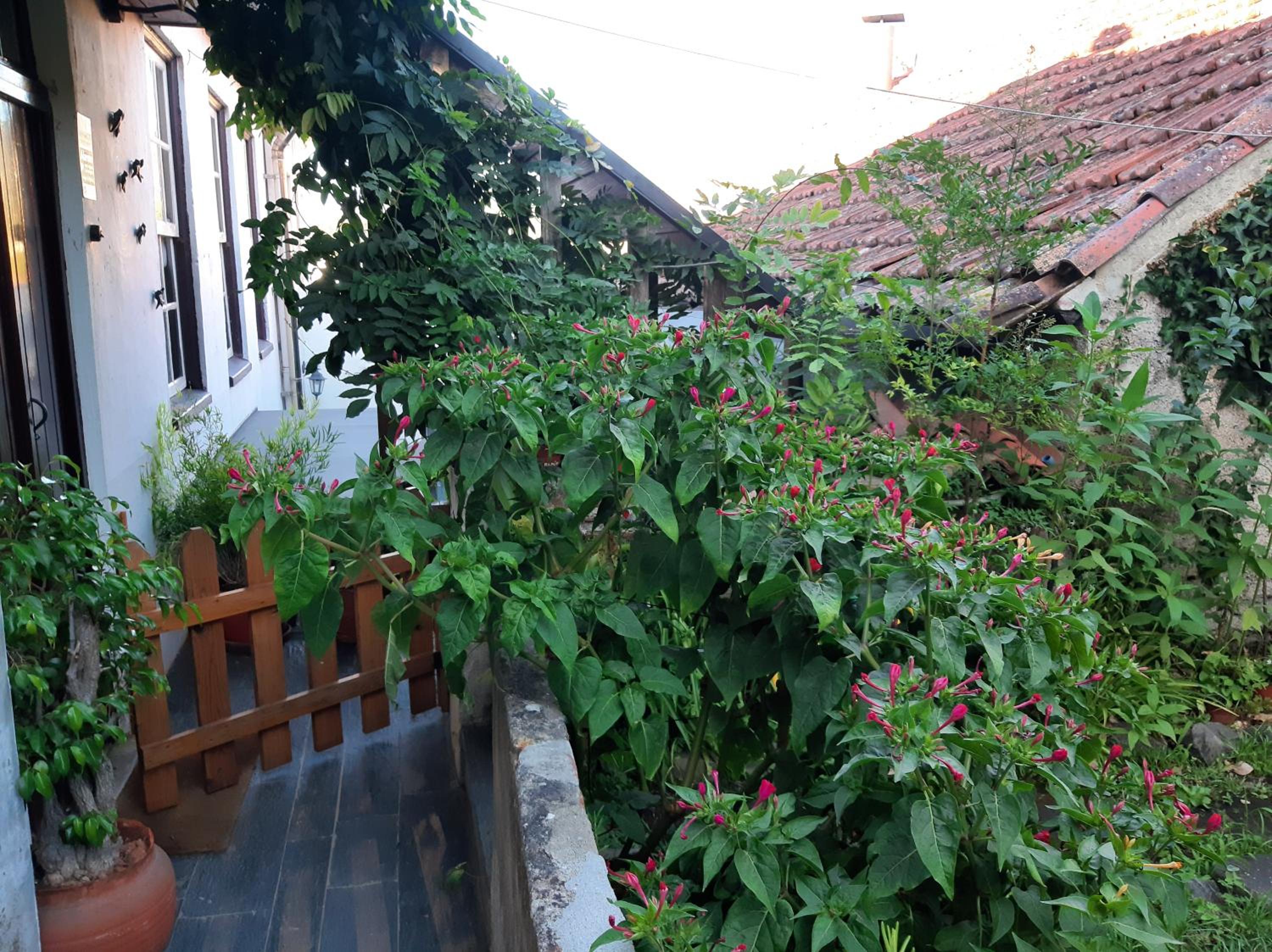 Three-Bedroom House - Photo 42
