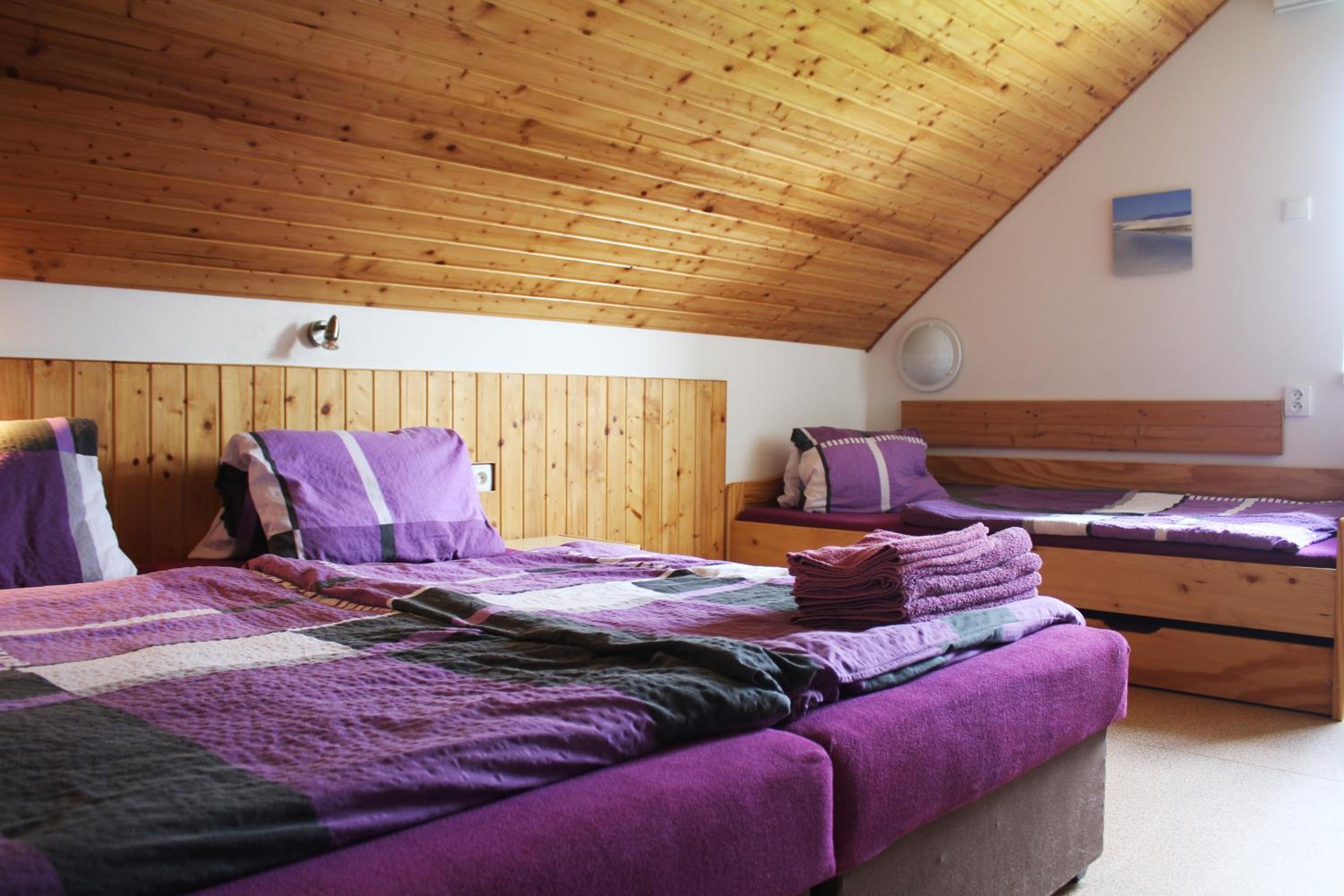 One-Bedroom Apartment (4 beds) photo 1