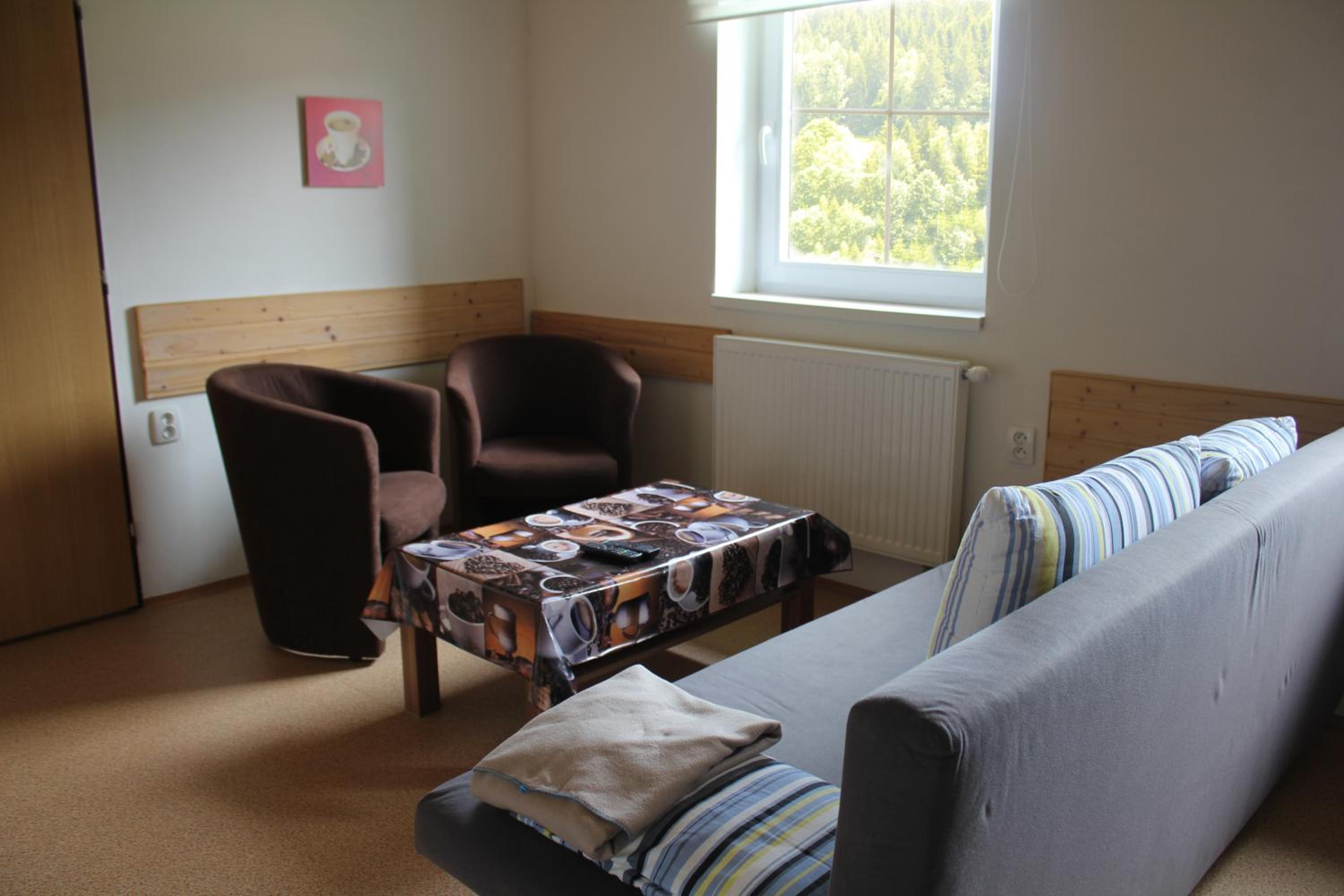 One-Bedroom Apartment (4 beds) photo 2