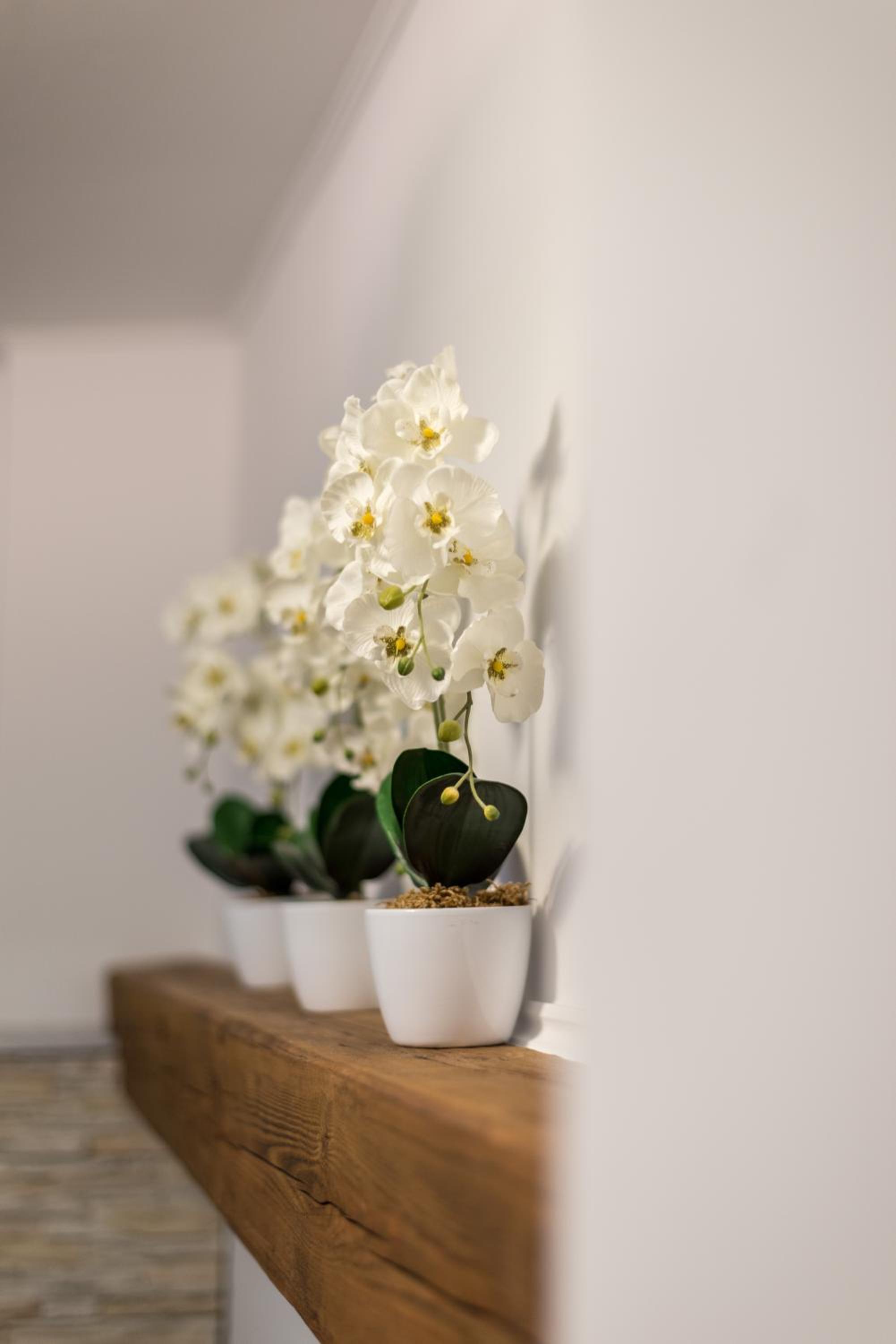 Apartment with Terrace - Photo 8