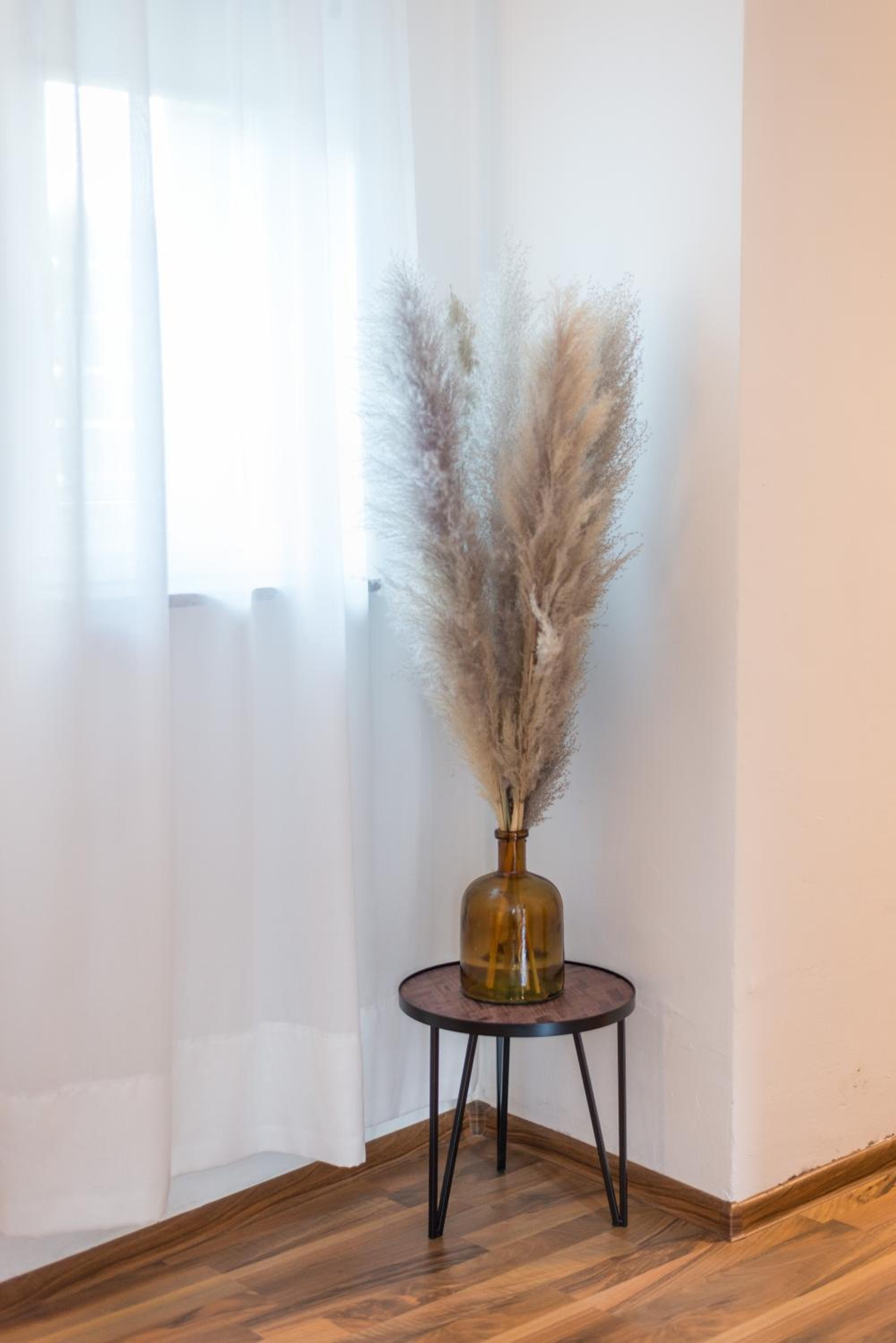 Apartment with Terrace - Photo 4