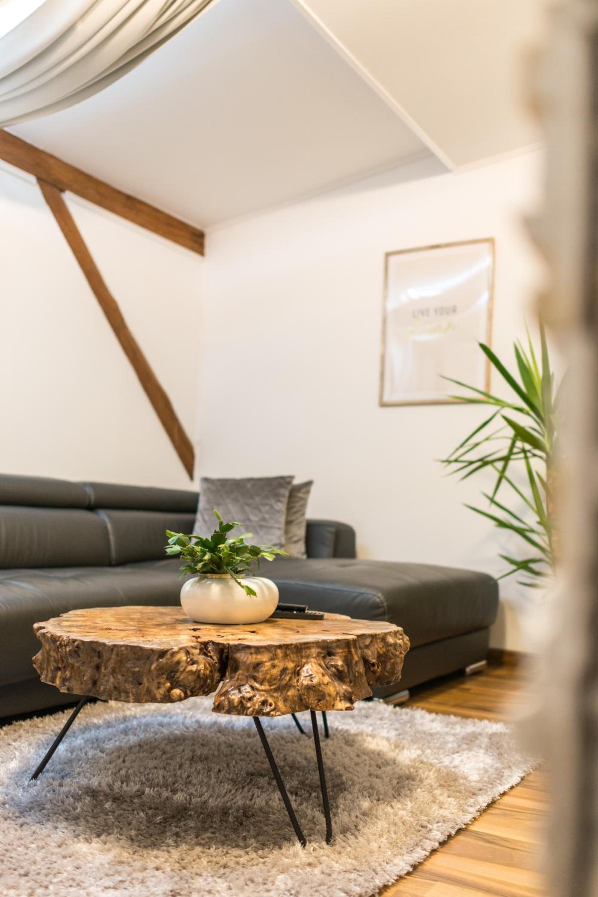 Apartment with Terrace - Photo 39