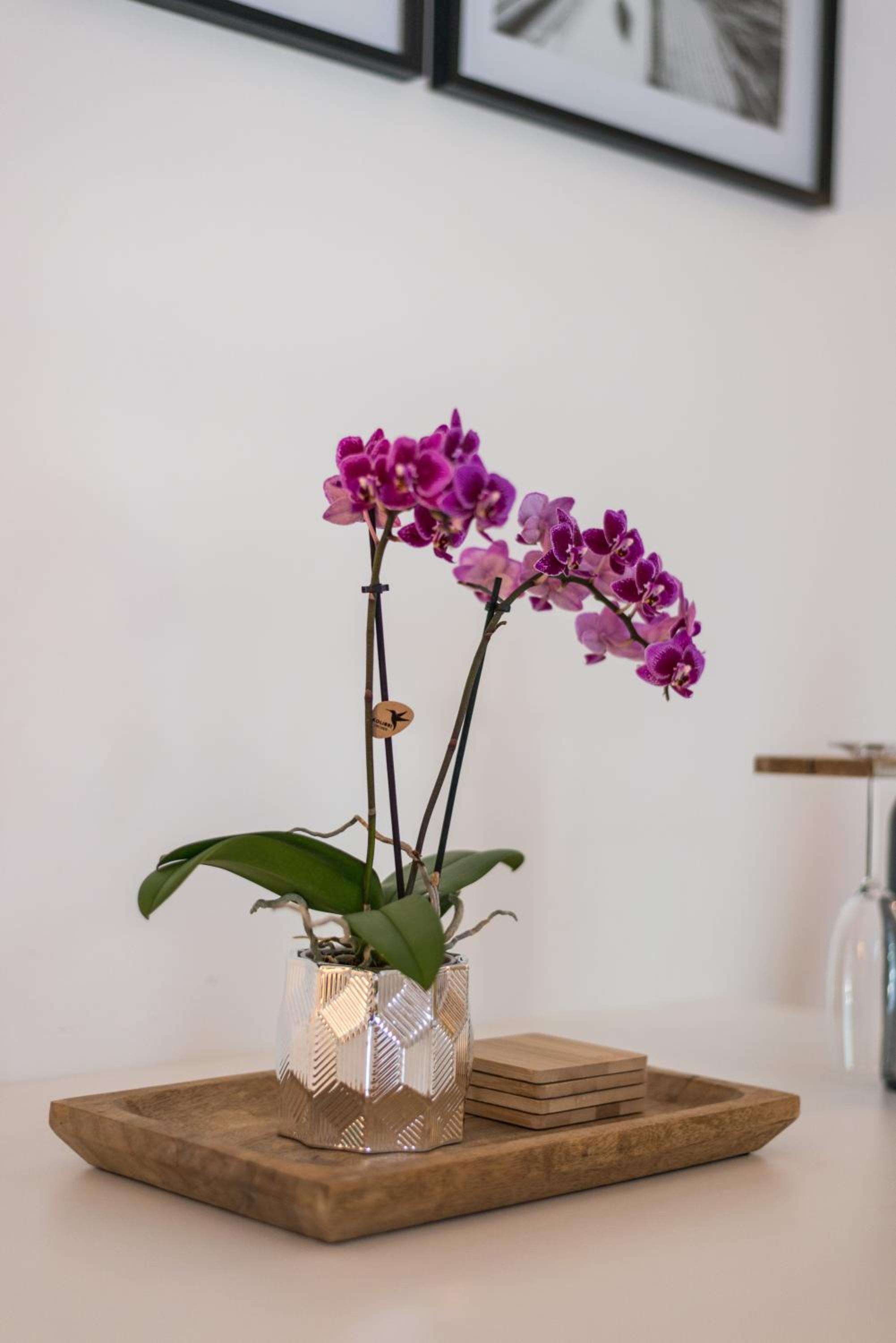 Apartment with Terrace - Photo 38