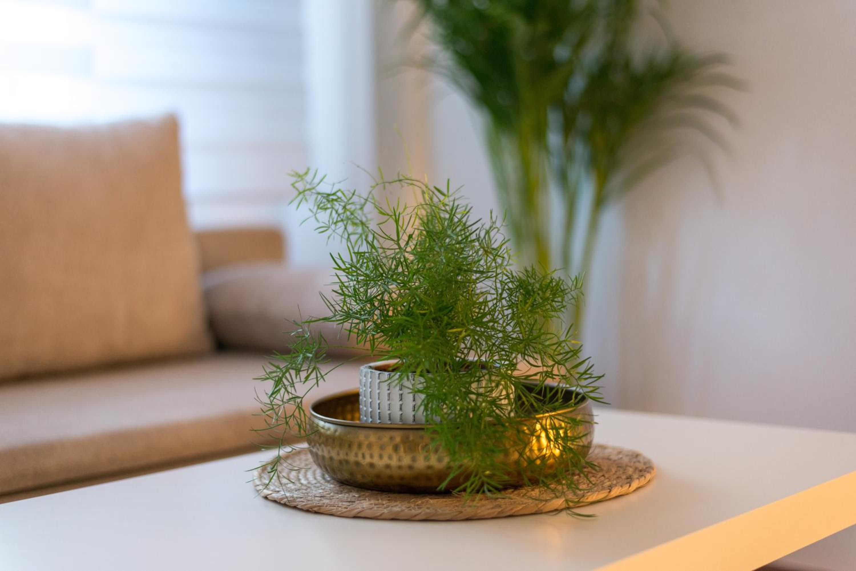Apartment with Terrace - Photo 29