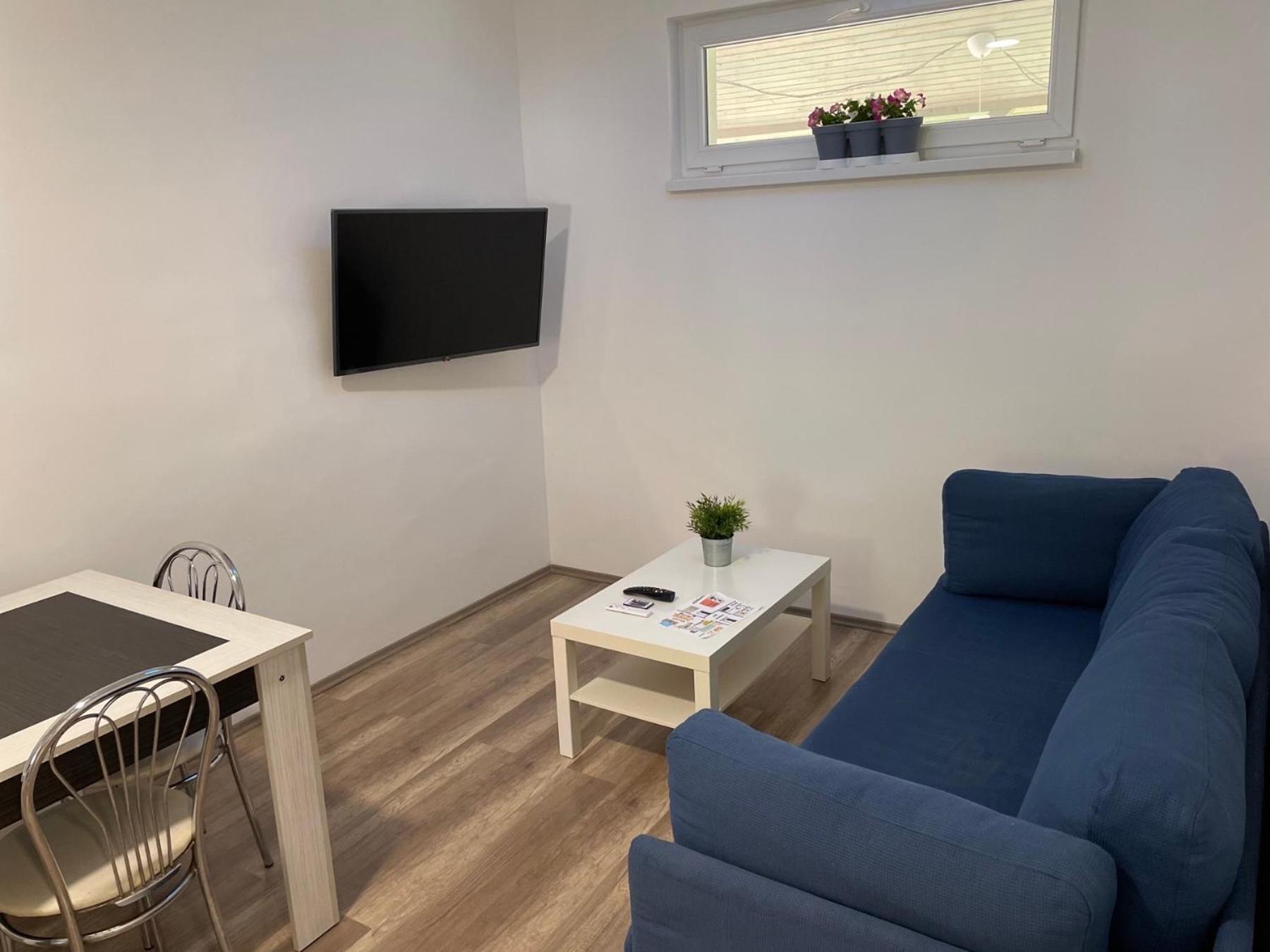 One-Bedroom Apartment - Photo 33
