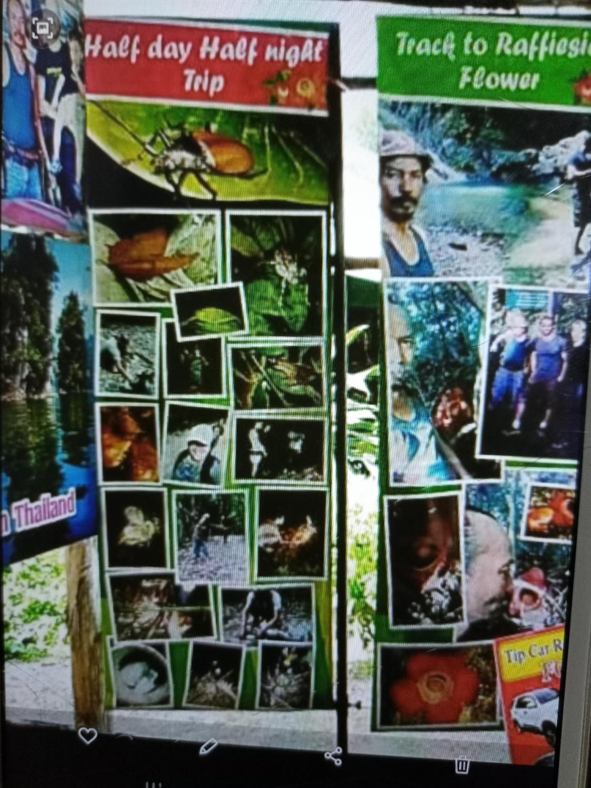 Tent - Photo 14