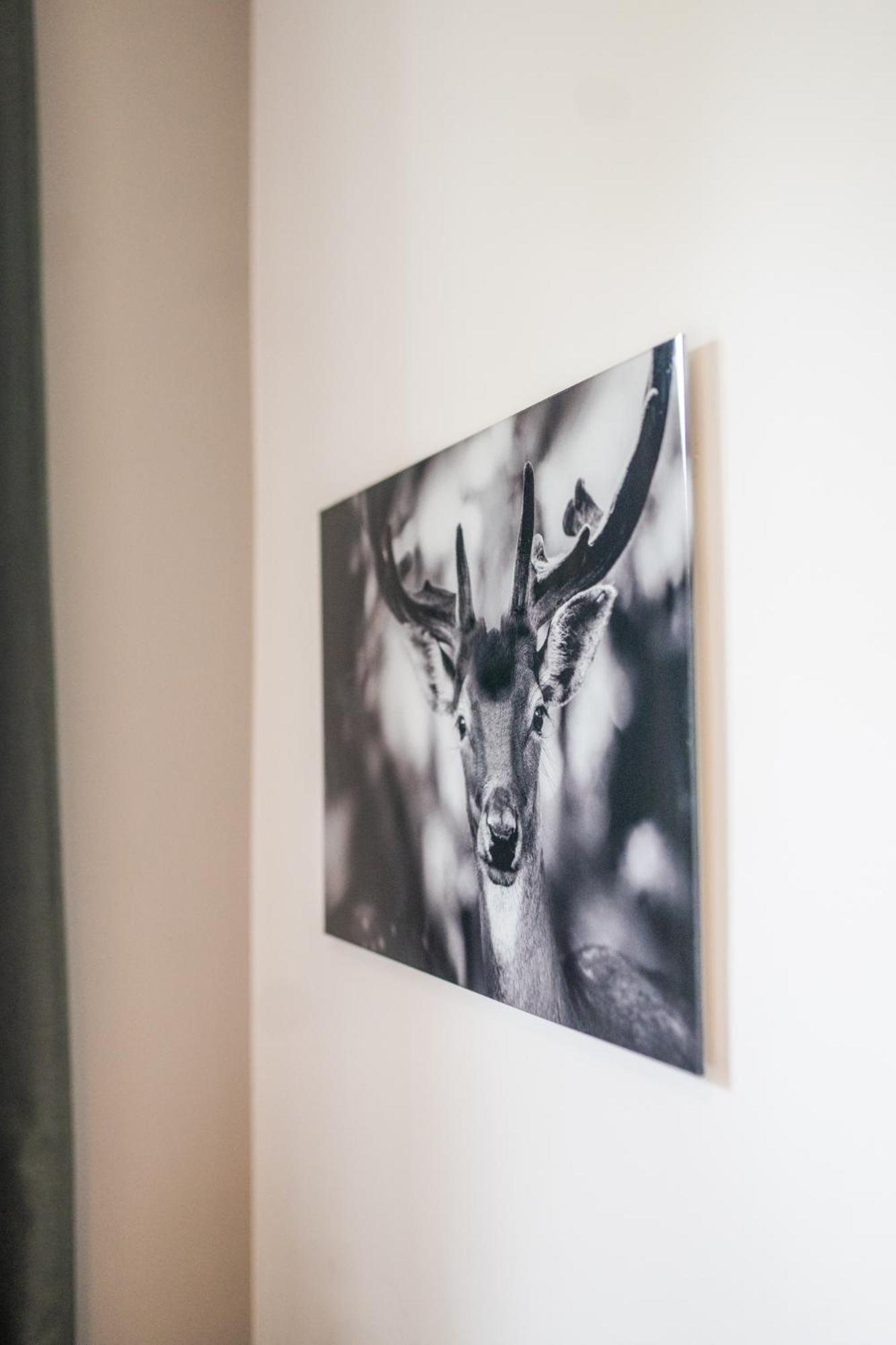 Double Room - Photo 2
