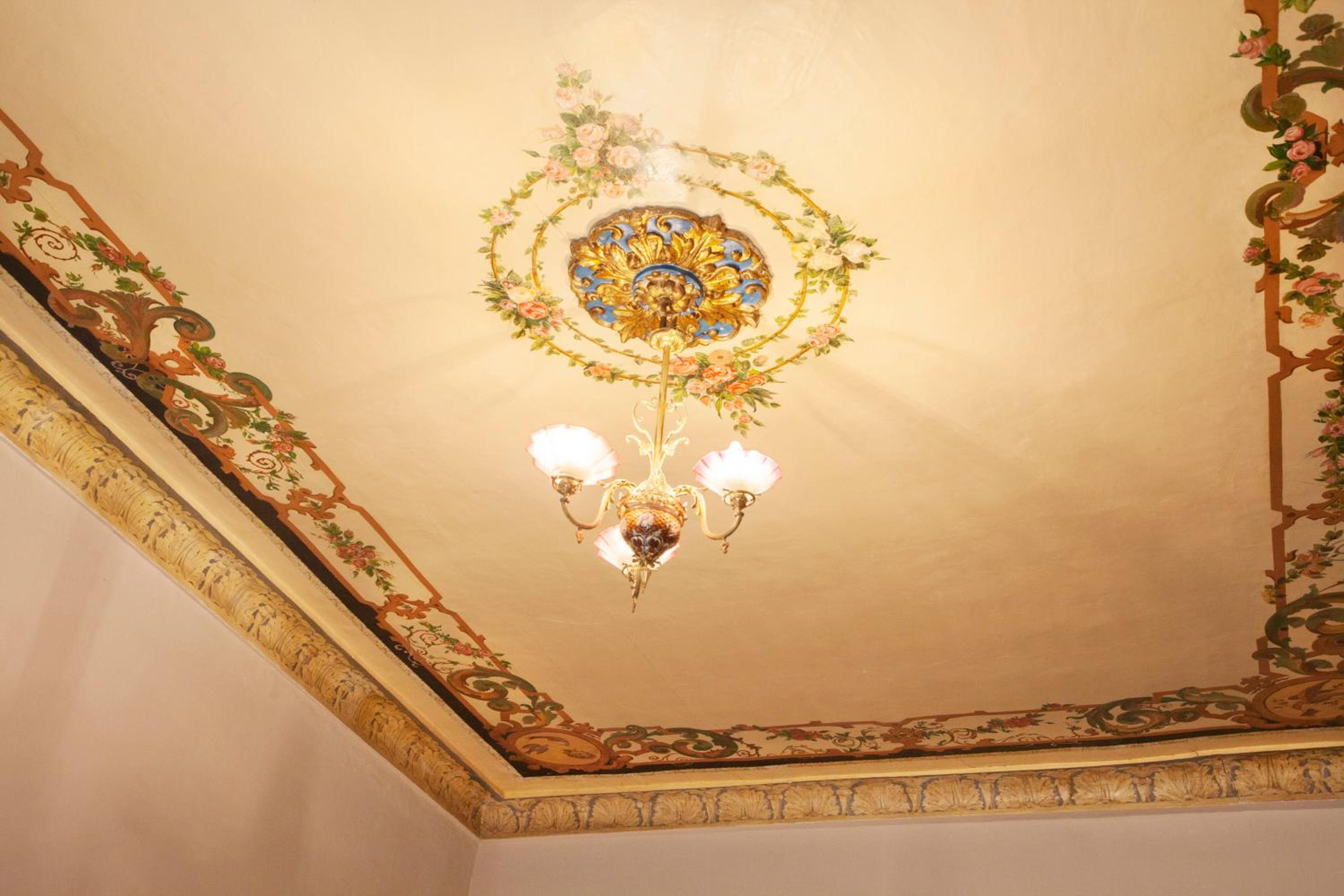 Superior Suite photo 2