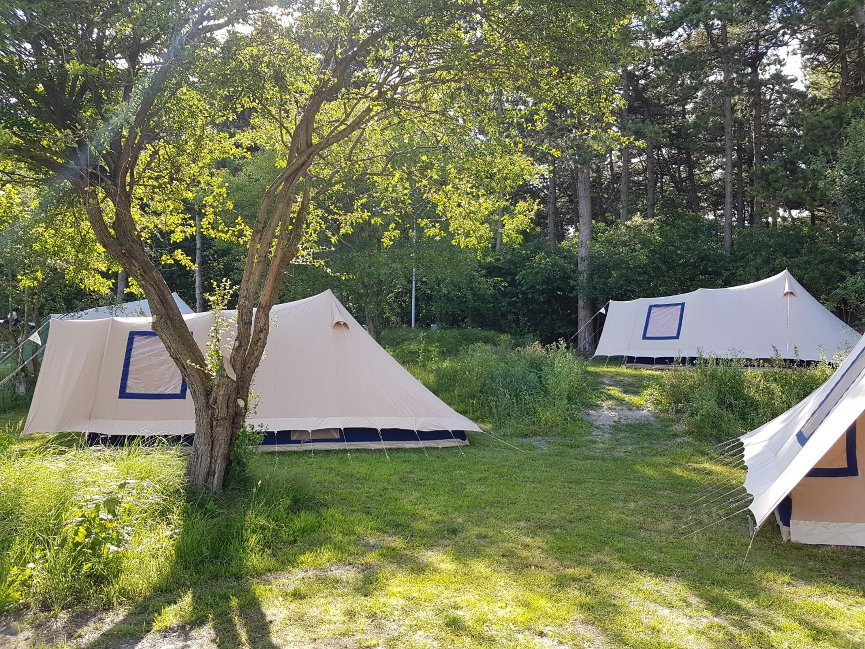 Tent photo 1
