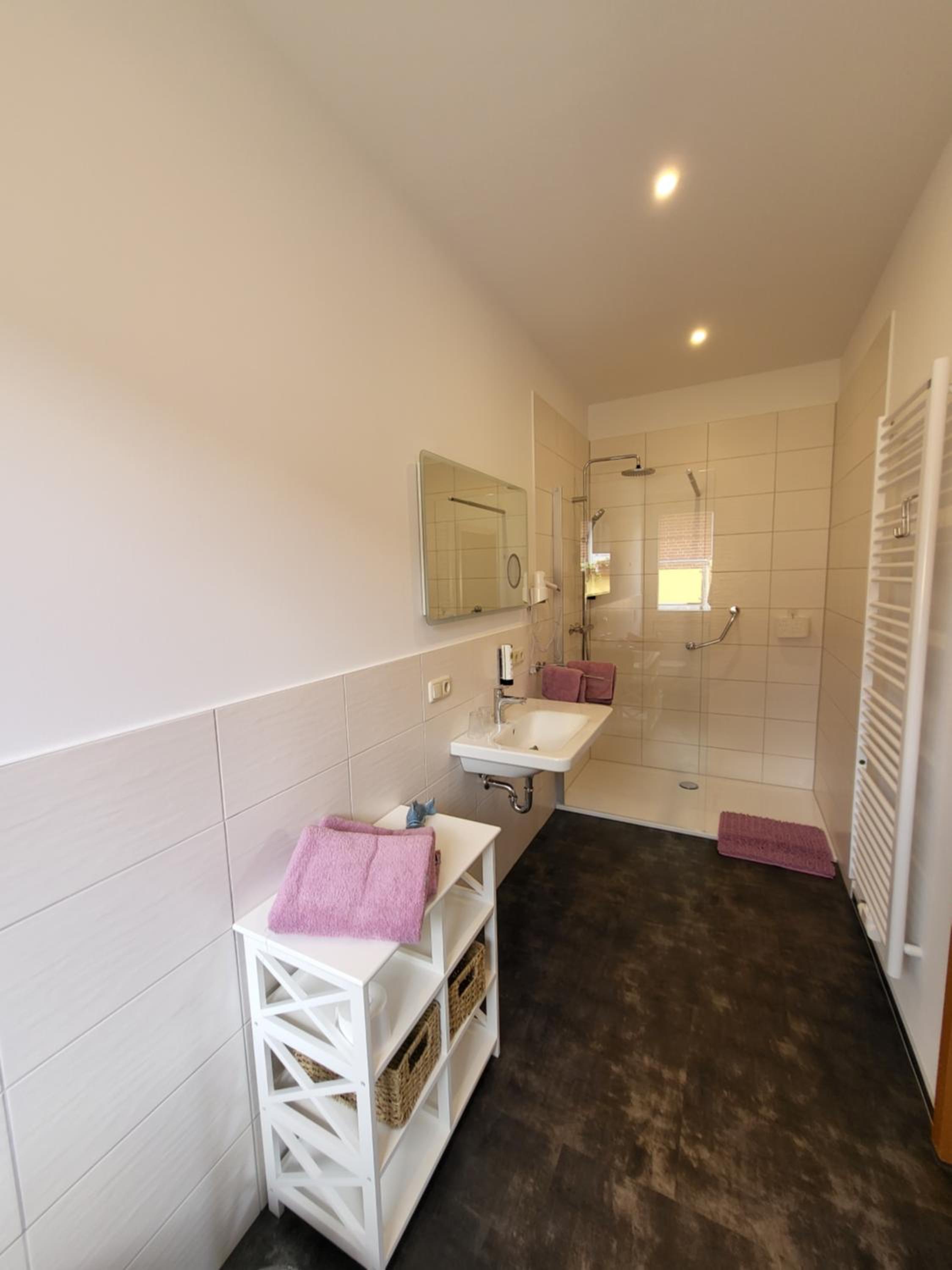 Apartment with Shower photo 2