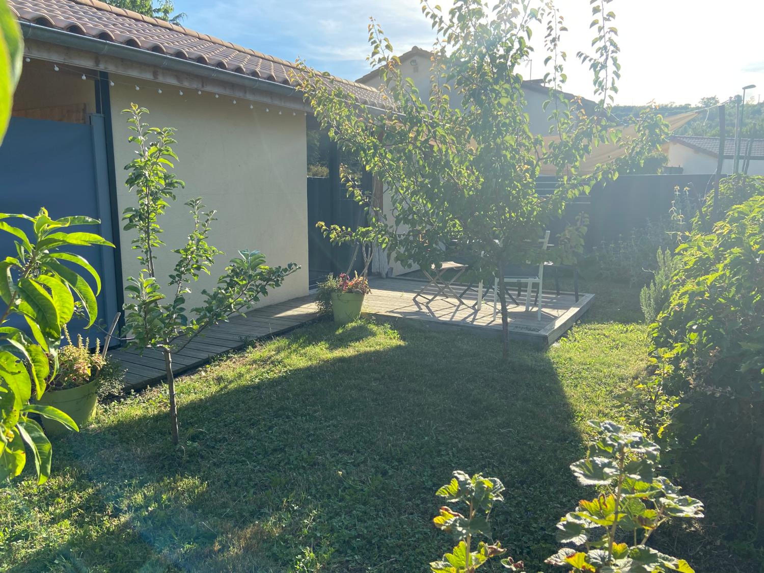 Studio with Garden View photo 1
