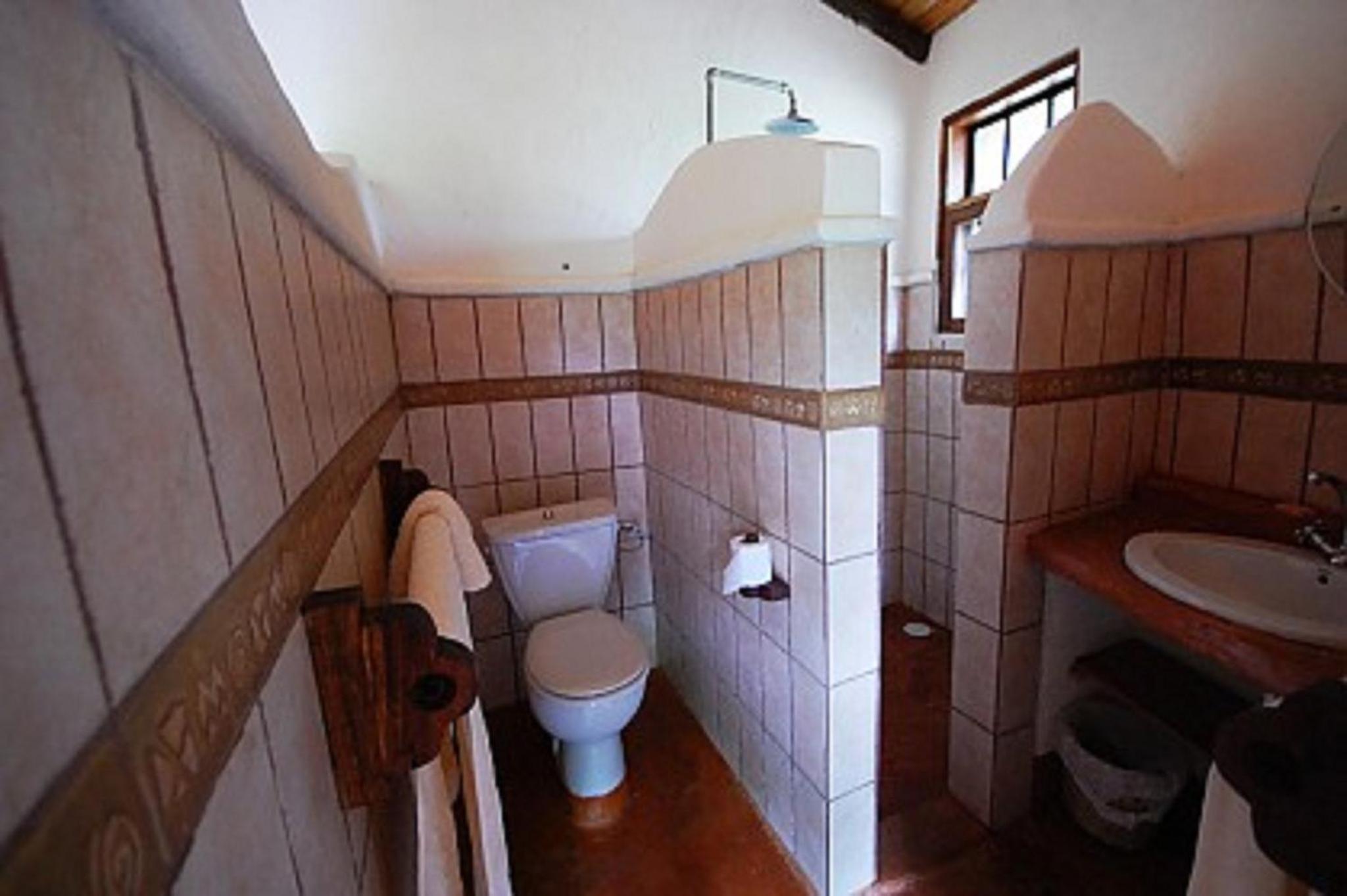 Twin Room photo 2