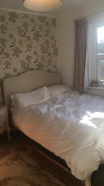 Double Room With Garden View photo 1
