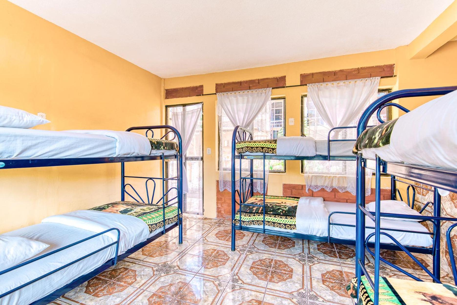 Bed in 6-Bed Mixed Dormitory Room