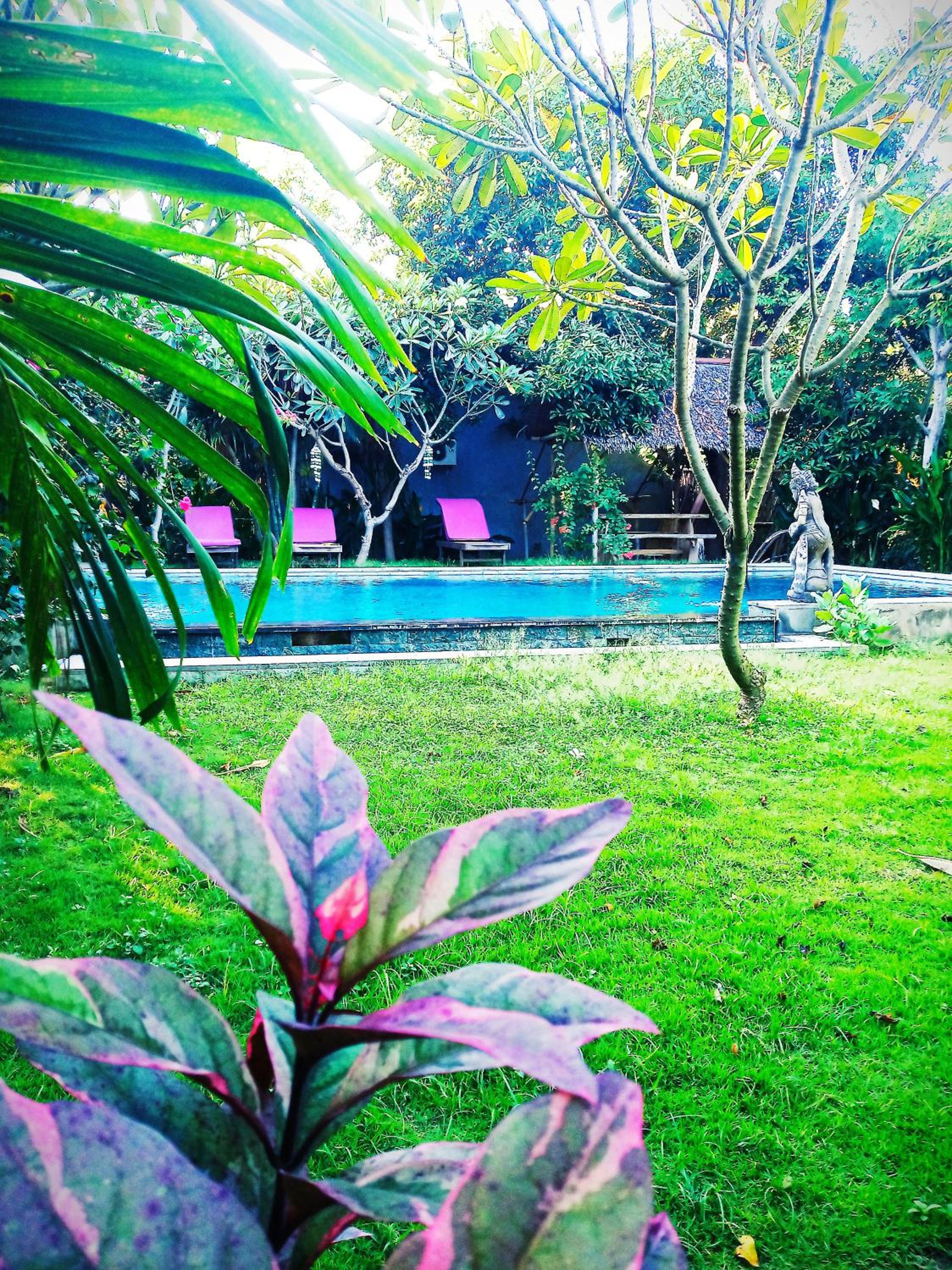 Double Room with Pool View - Photo 9