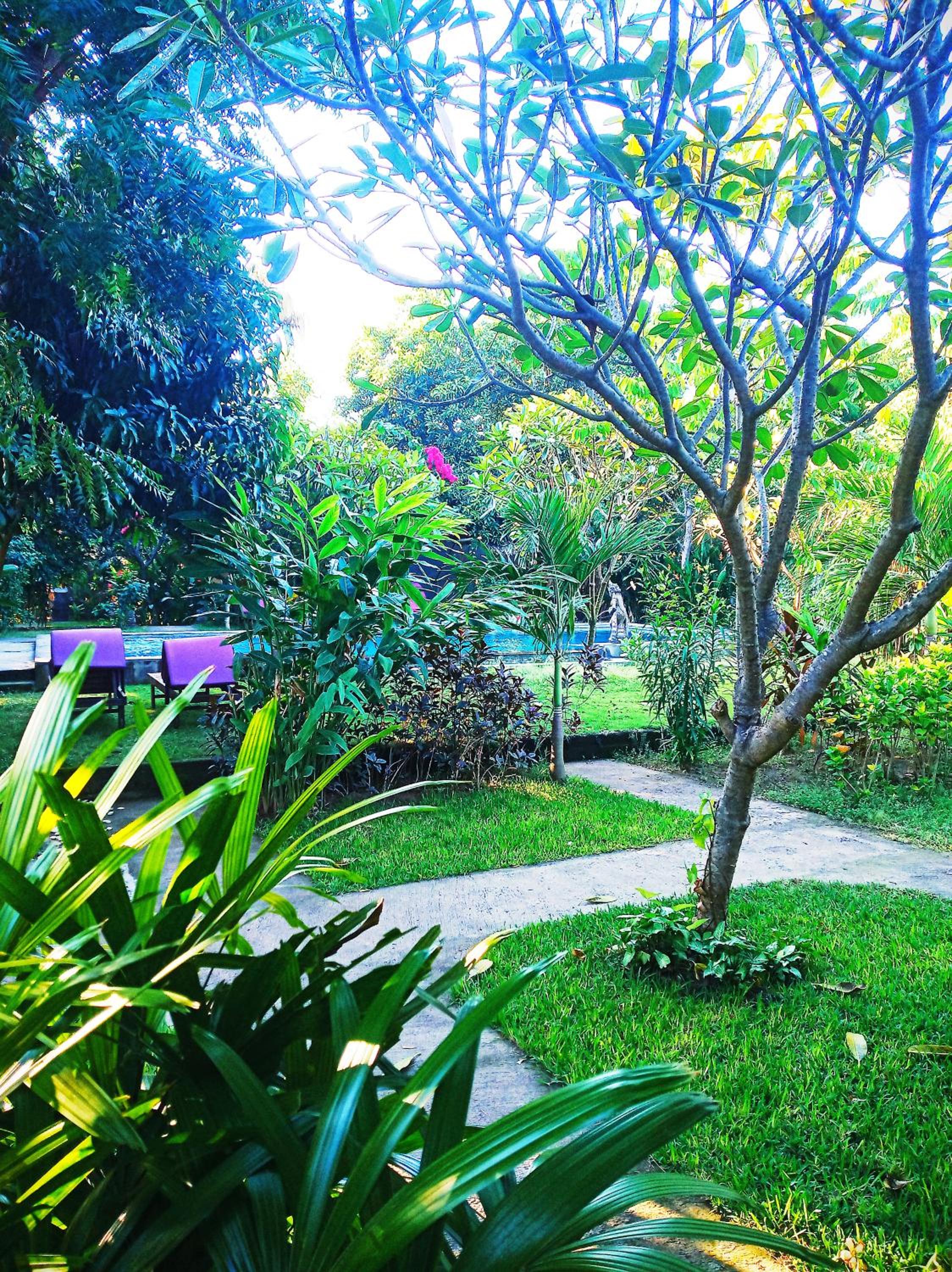 Double Room with Pool View - Photo 11