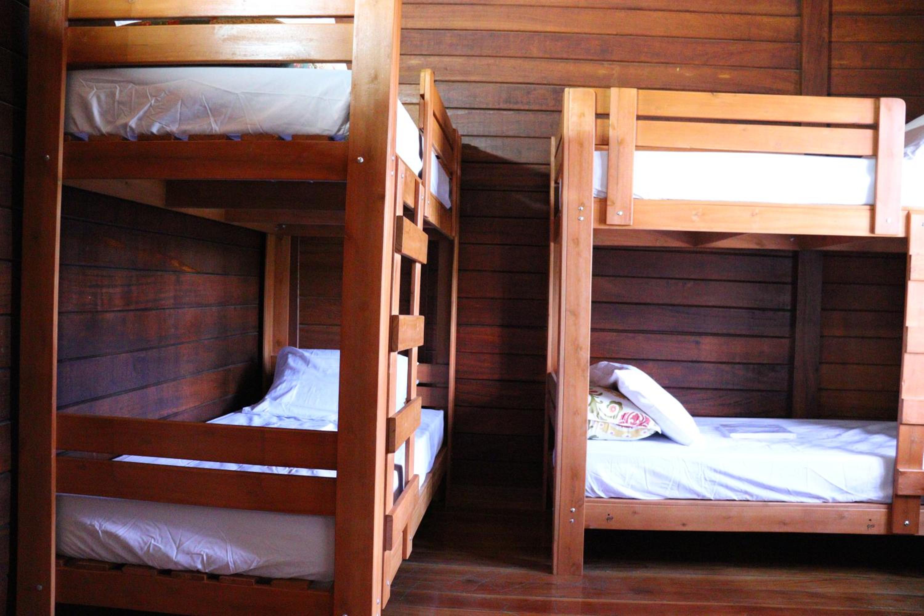 Bunk Bed in Male Dormitory Room photo 1