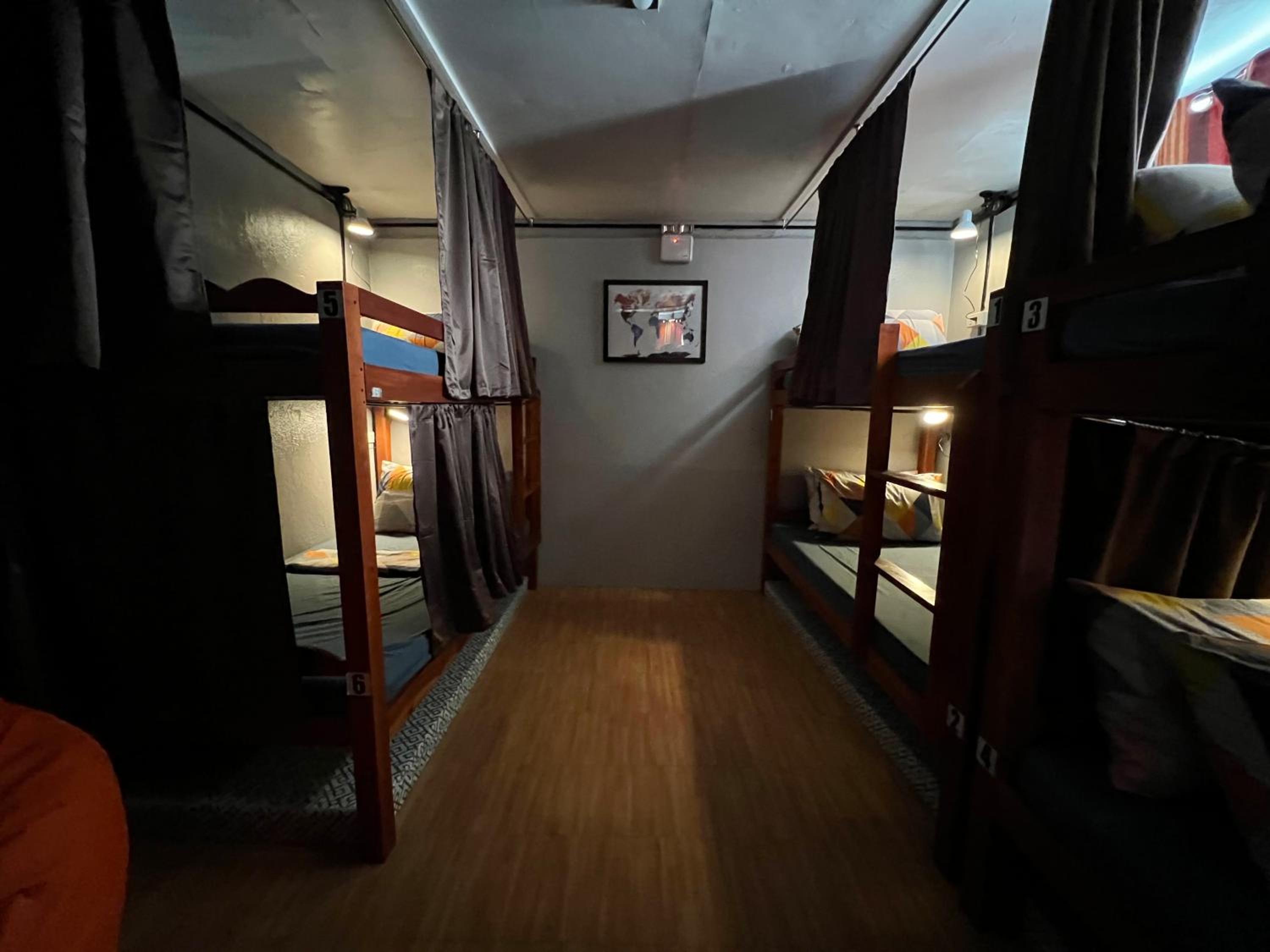Bunk Bed in Mixed Dormitory Room photo 3