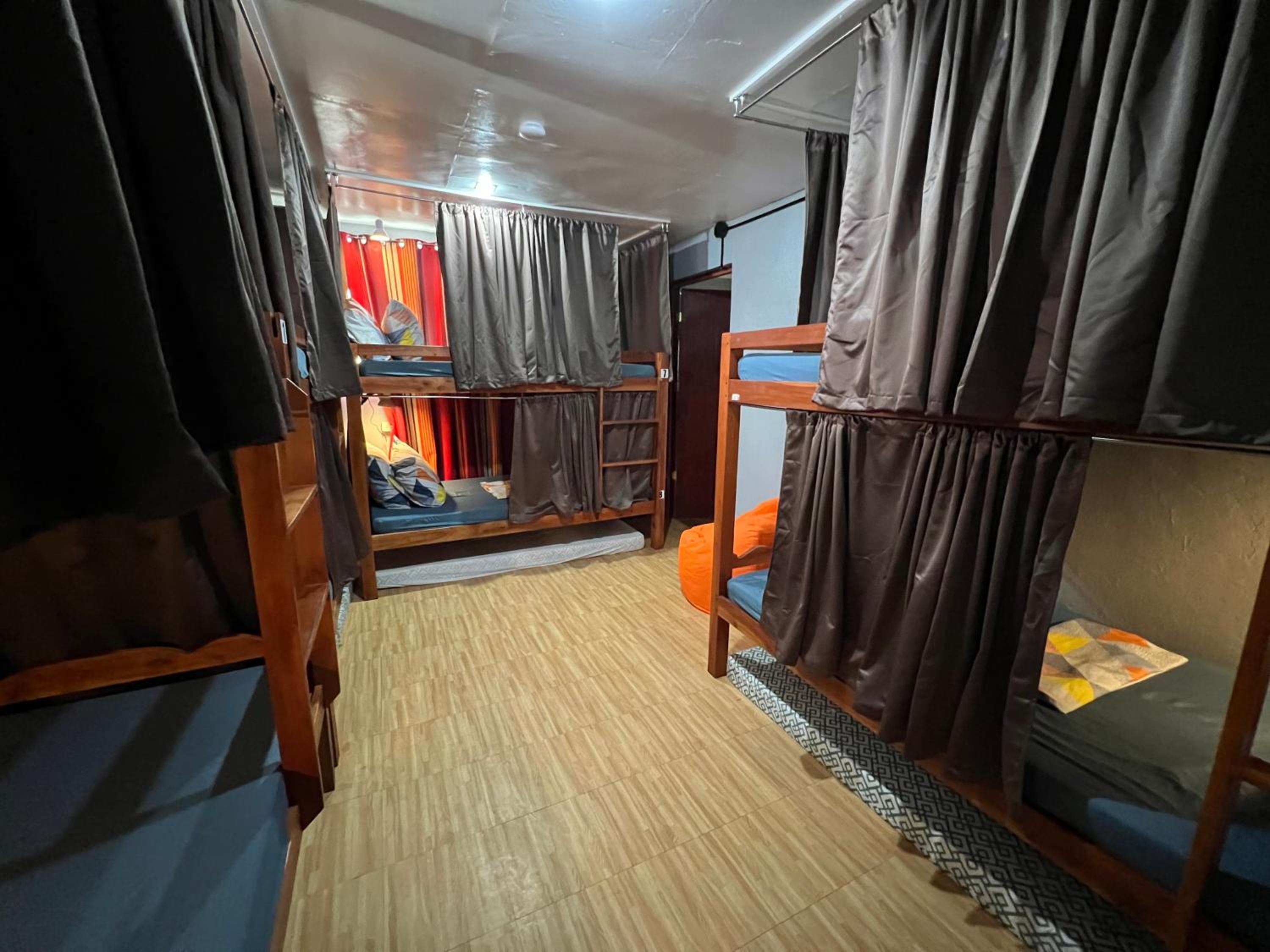 Bunk Bed in Mixed Dormitory Room photo 2