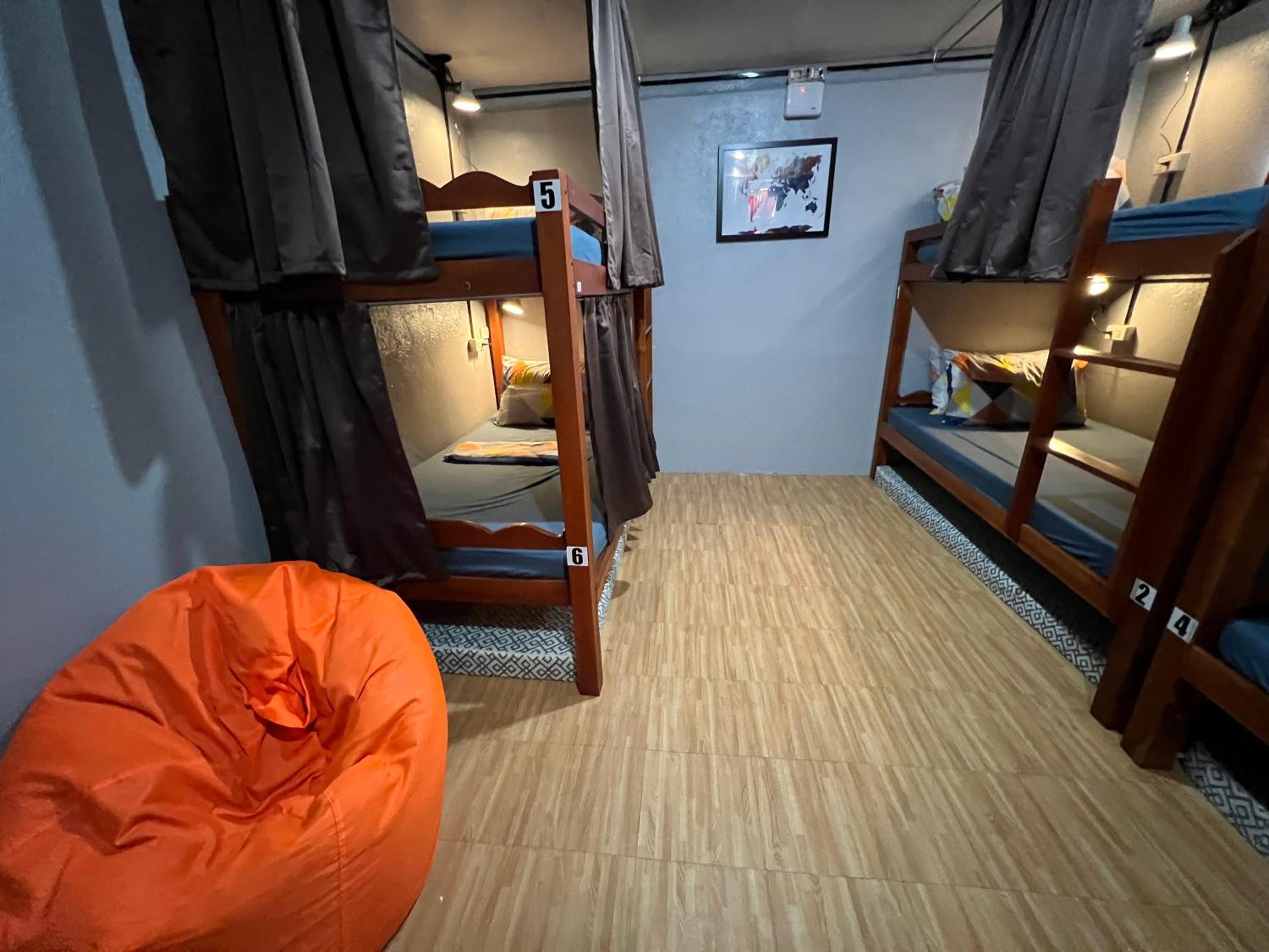 Bunk Bed in Mixed Dormitory Room