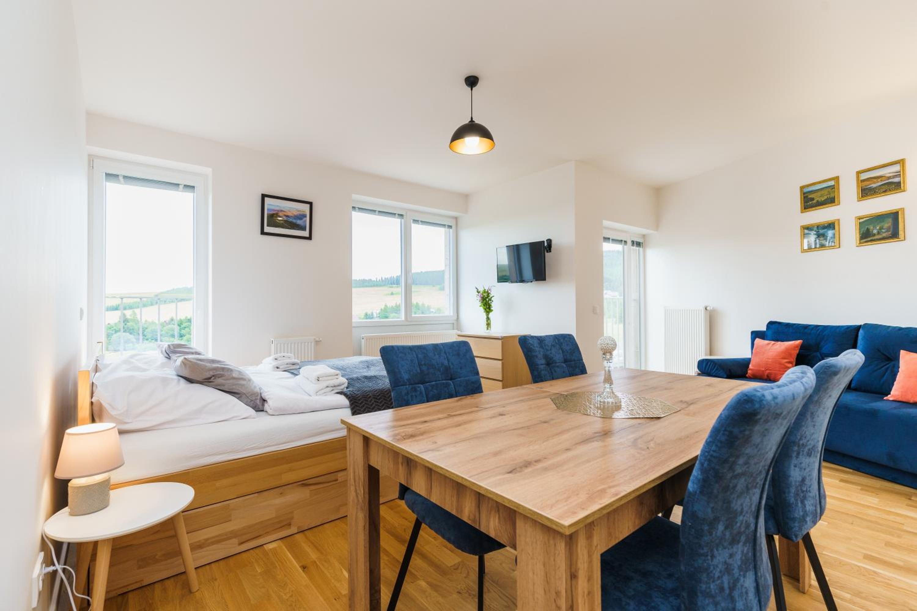 Studio Apartment photo 1