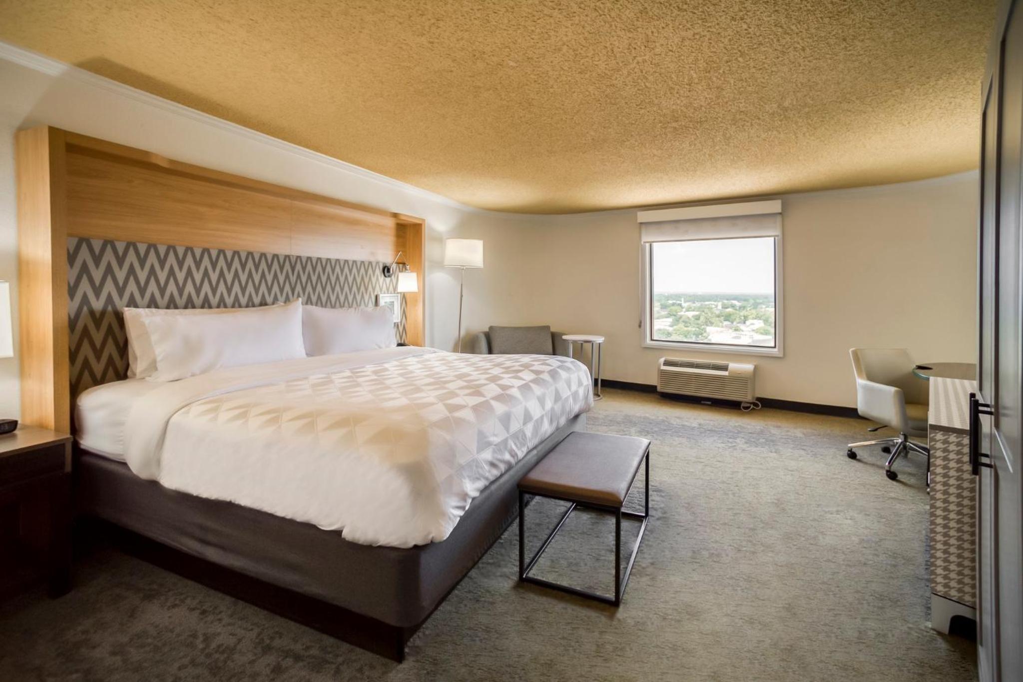Standard King Room - Photo 10
