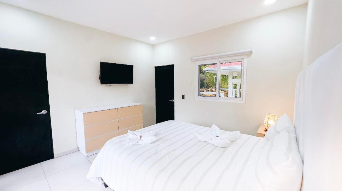 Suite photo 2