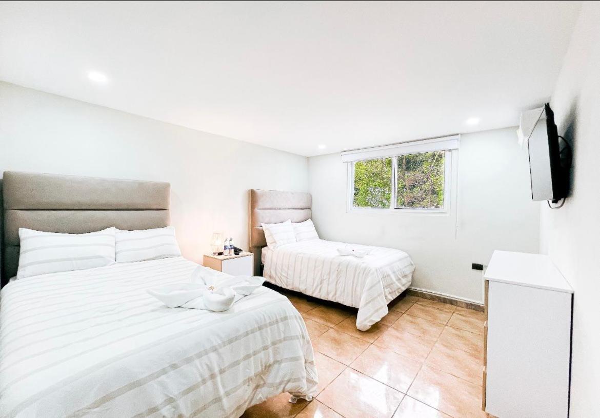 Superior Twin Room photo 2