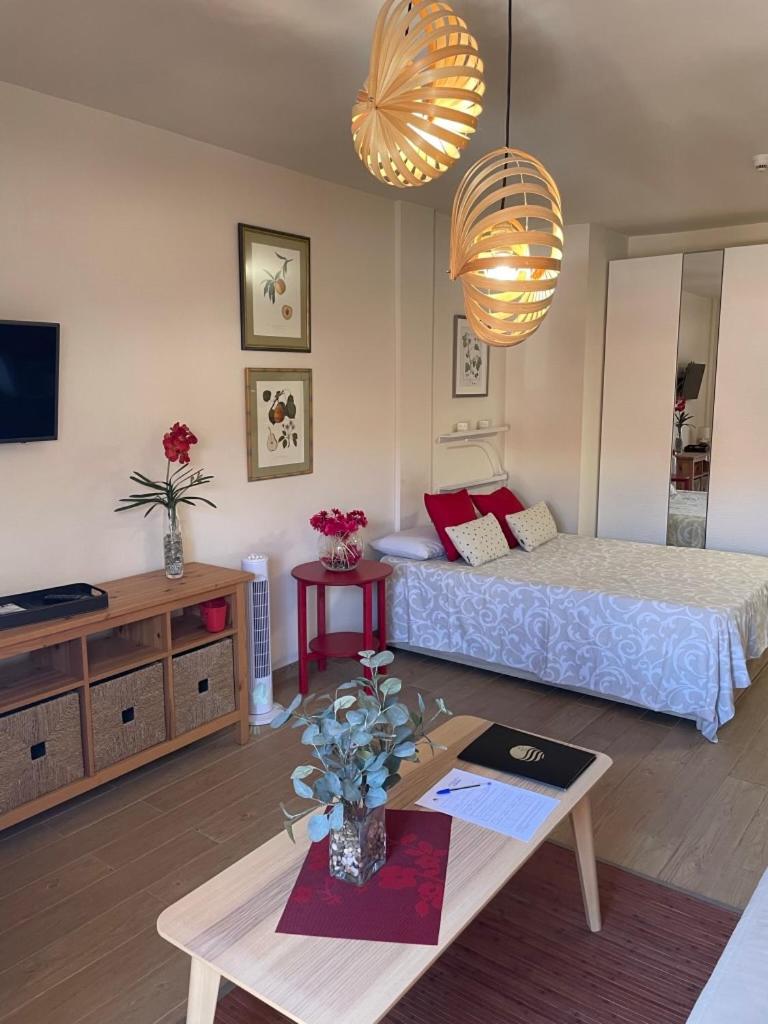 Apartamento de una habitación