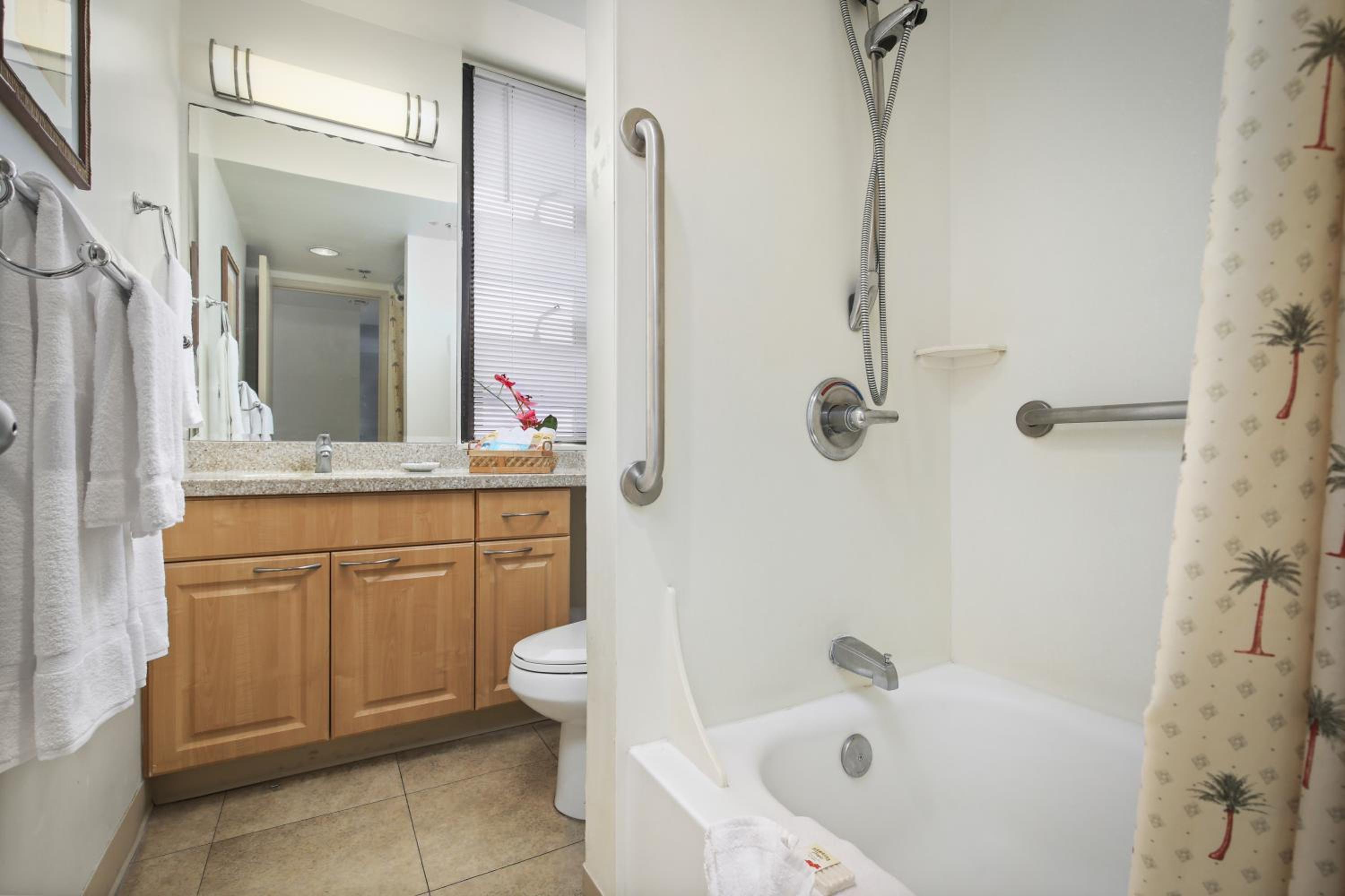 Two-Bedroom Suite thumbnail 5
