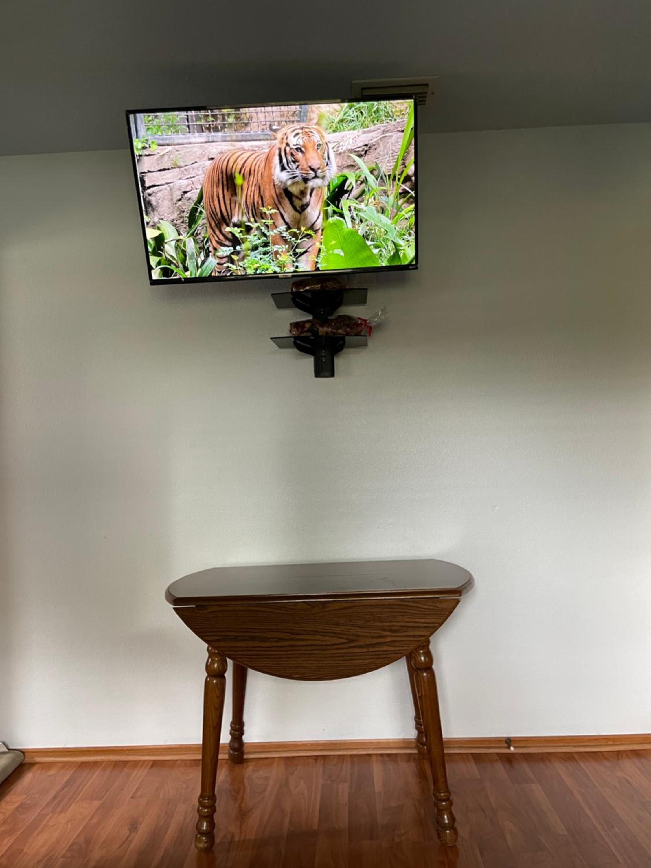 Vacation Home photo 3