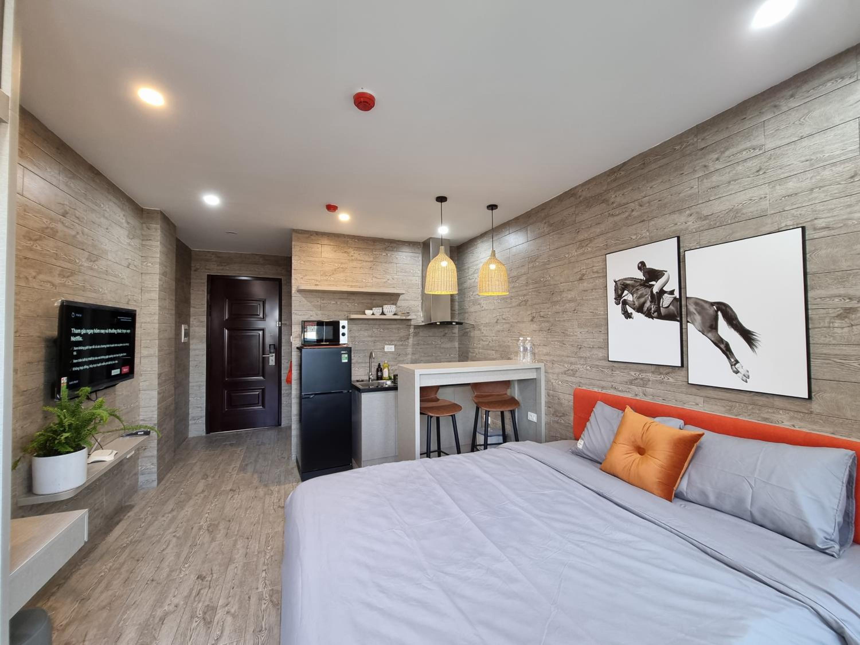 Apartment with Terrace