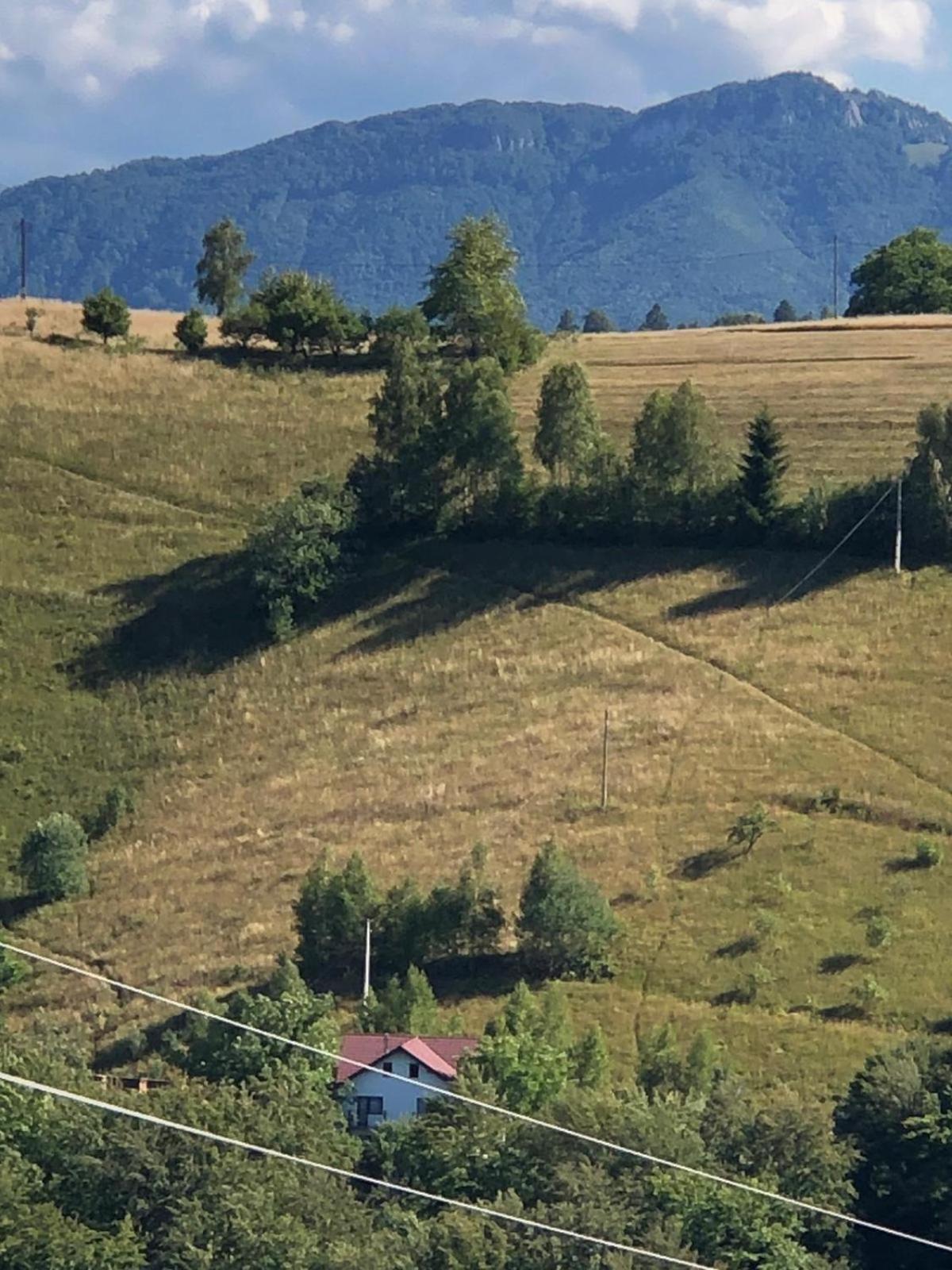 Villa - Photo 6