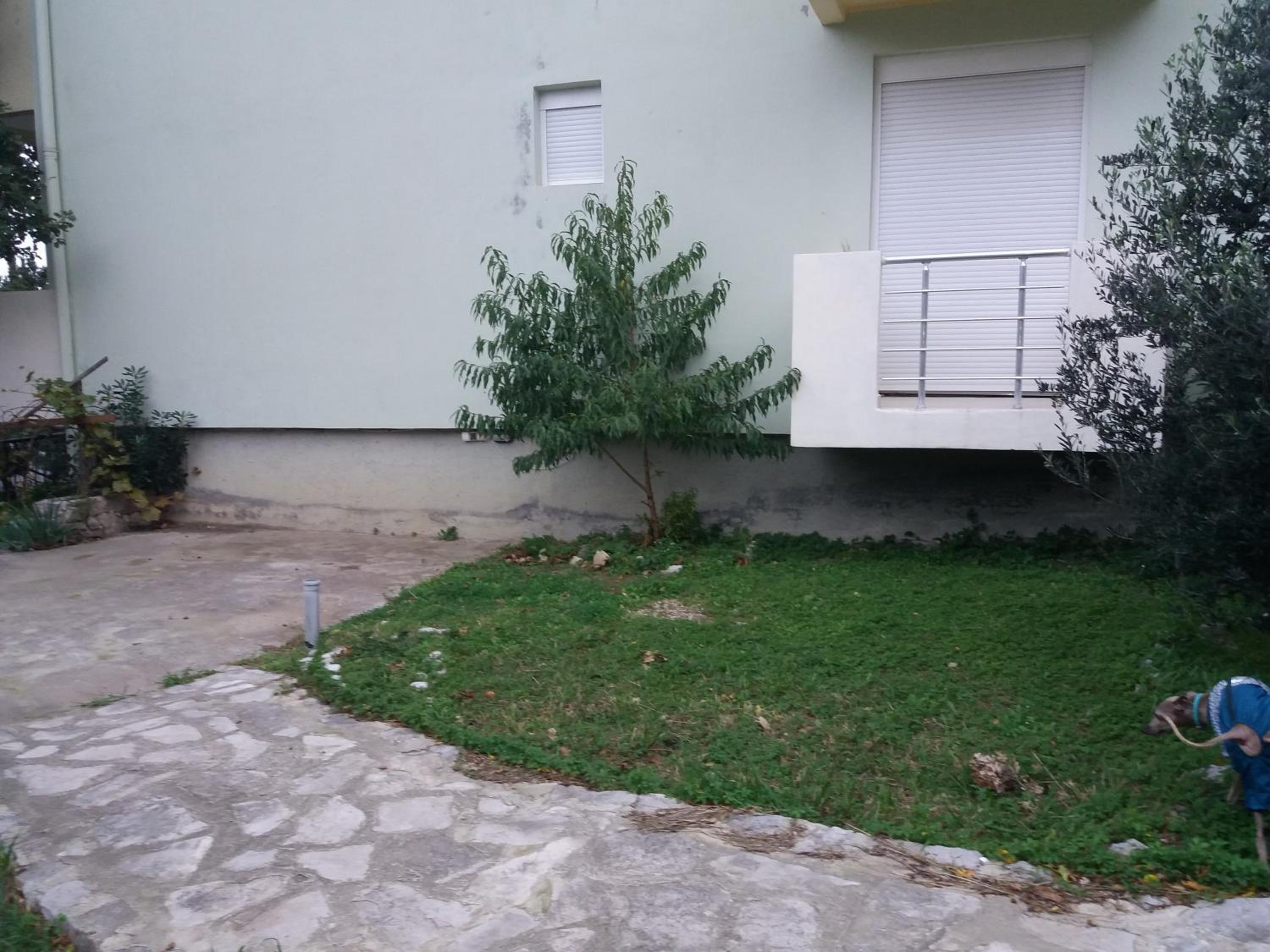 Apartment with Terrace photo 2
