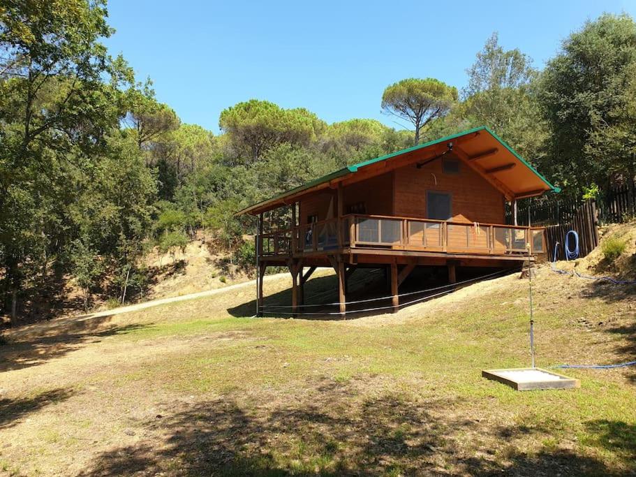 Two-Bedroom Chalet photo 2