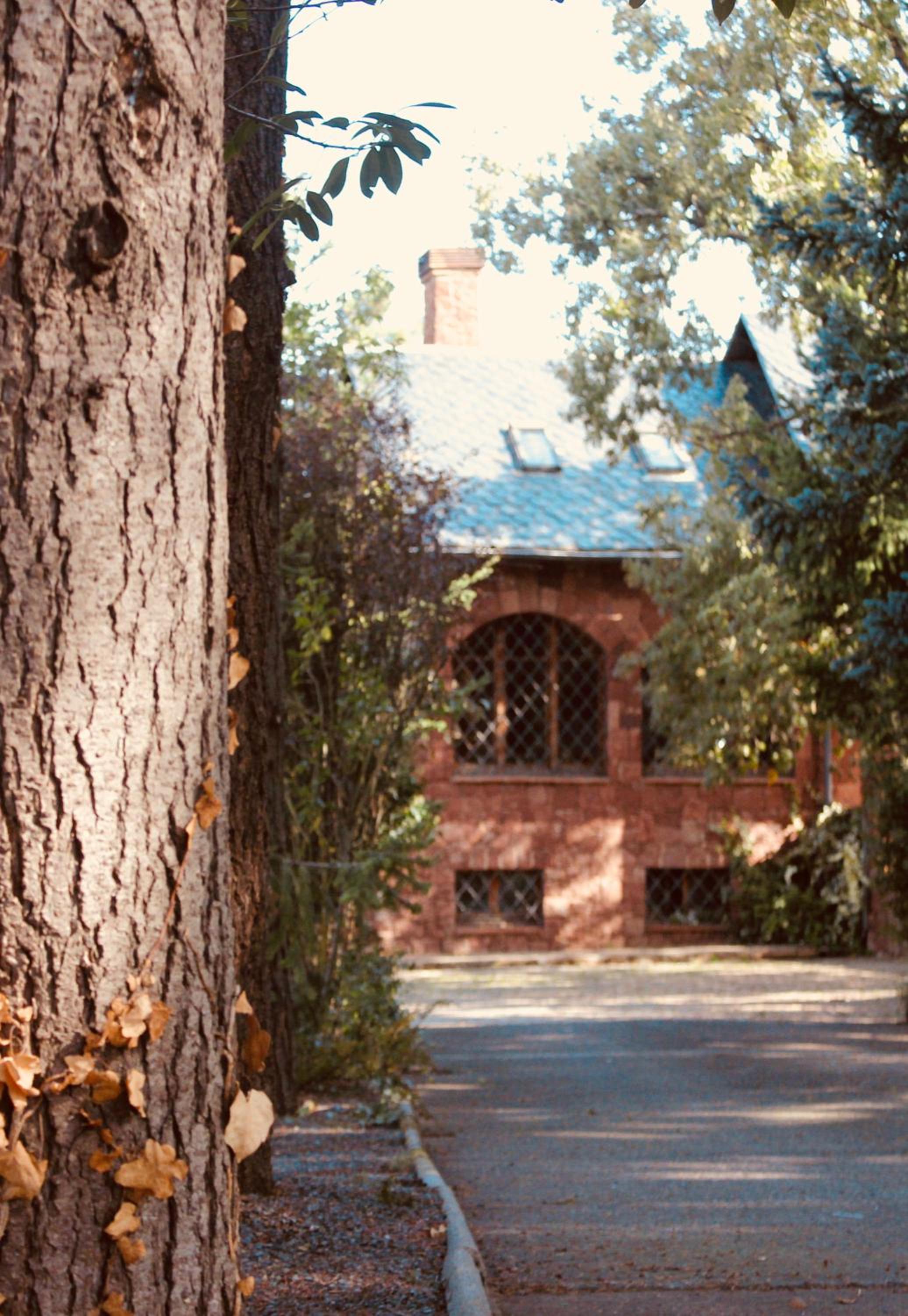 Chalet Superior