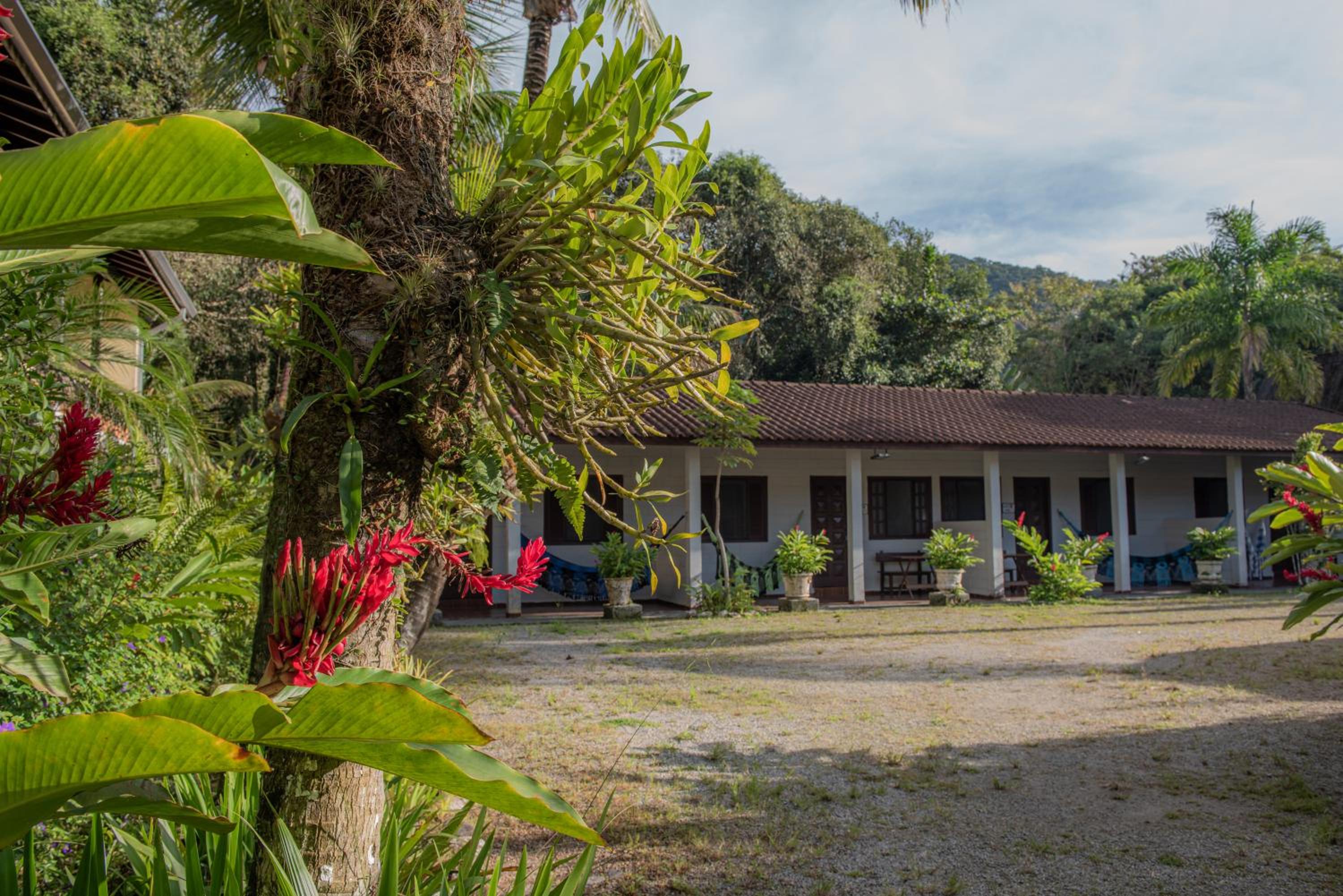 Chalet photo 2