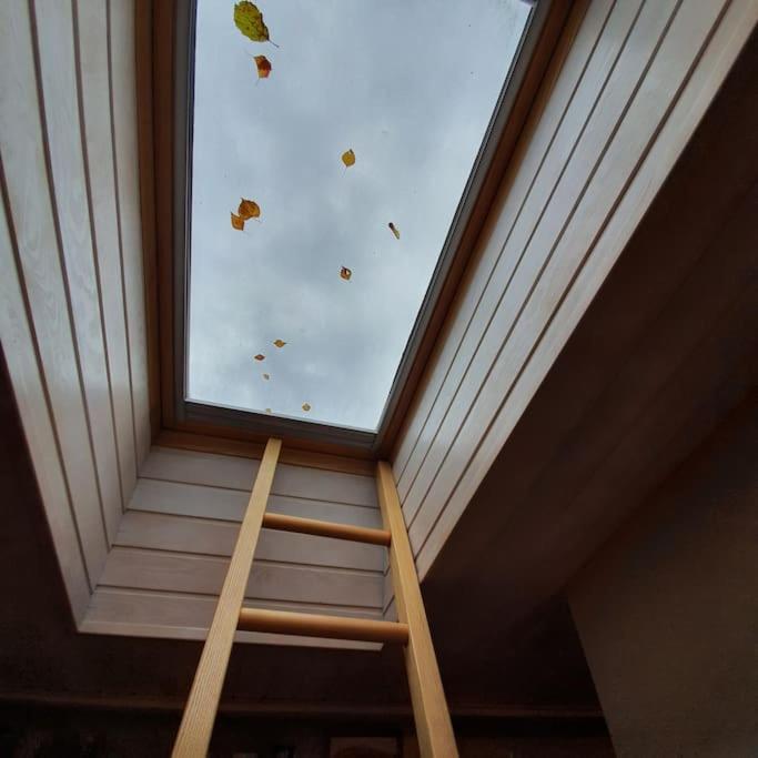 One-Bedroom Apartment - Photo 12