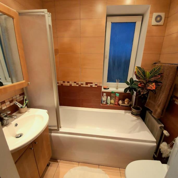 One-Bedroom Apartment - Photo 20