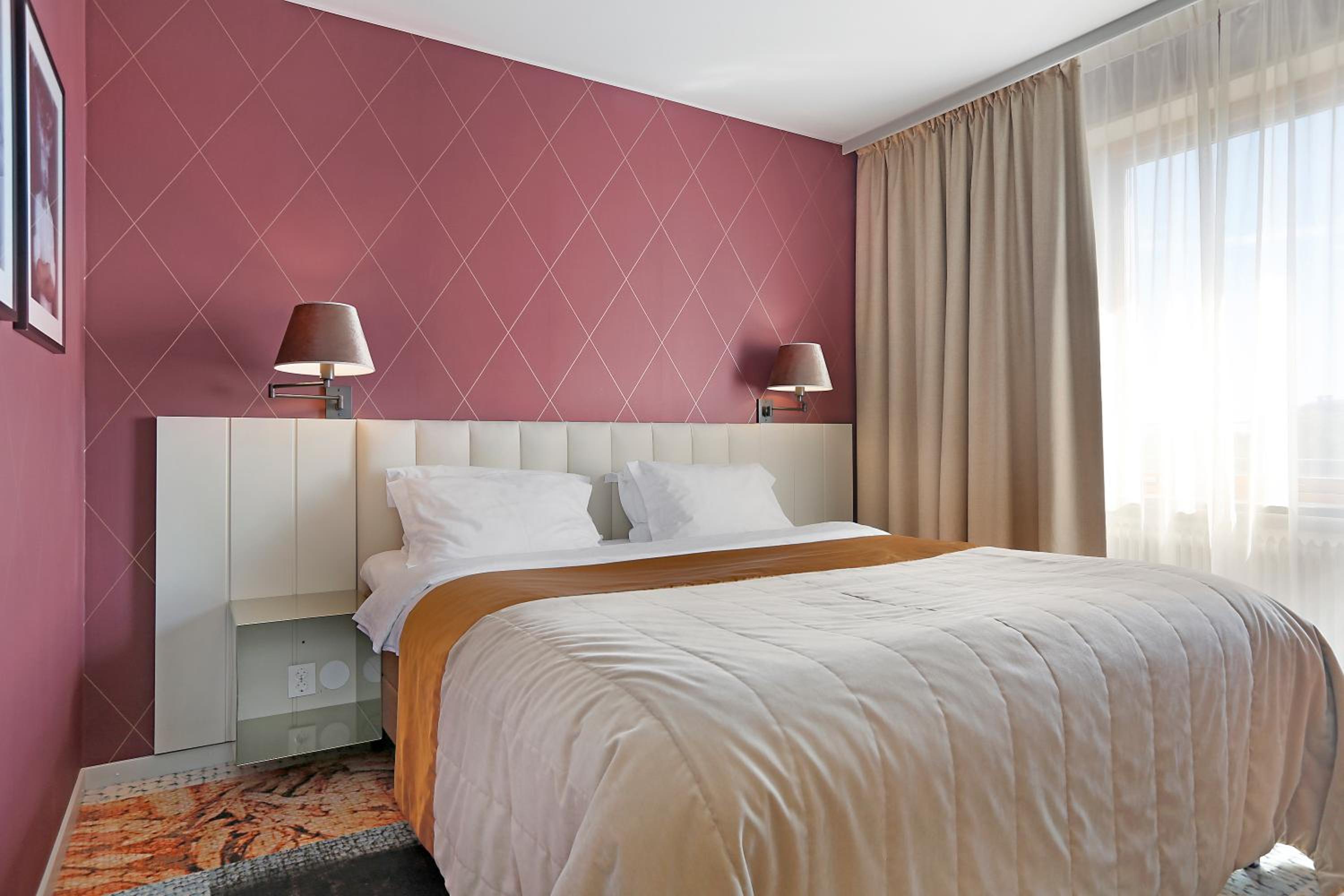 Suite - Photo 1