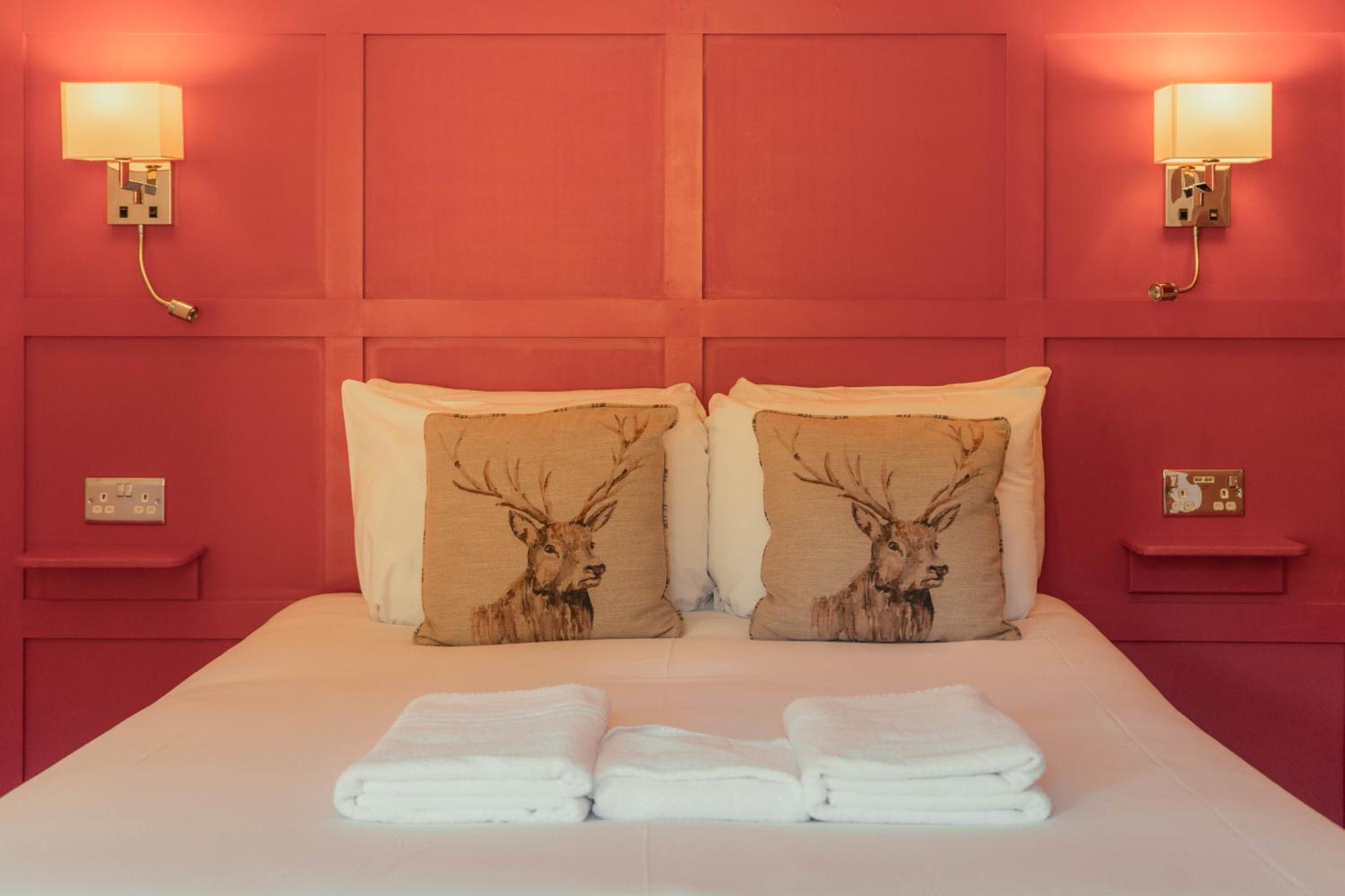 Double Room - No Pets photo 3