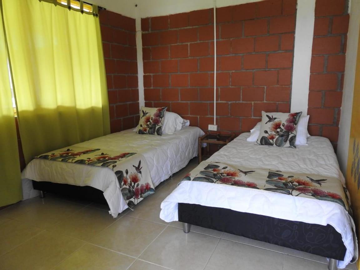 Twin Room photo 1