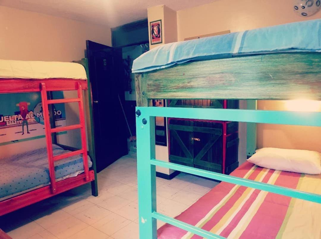 Single Bed in Mixed Dormitory Room photo 2