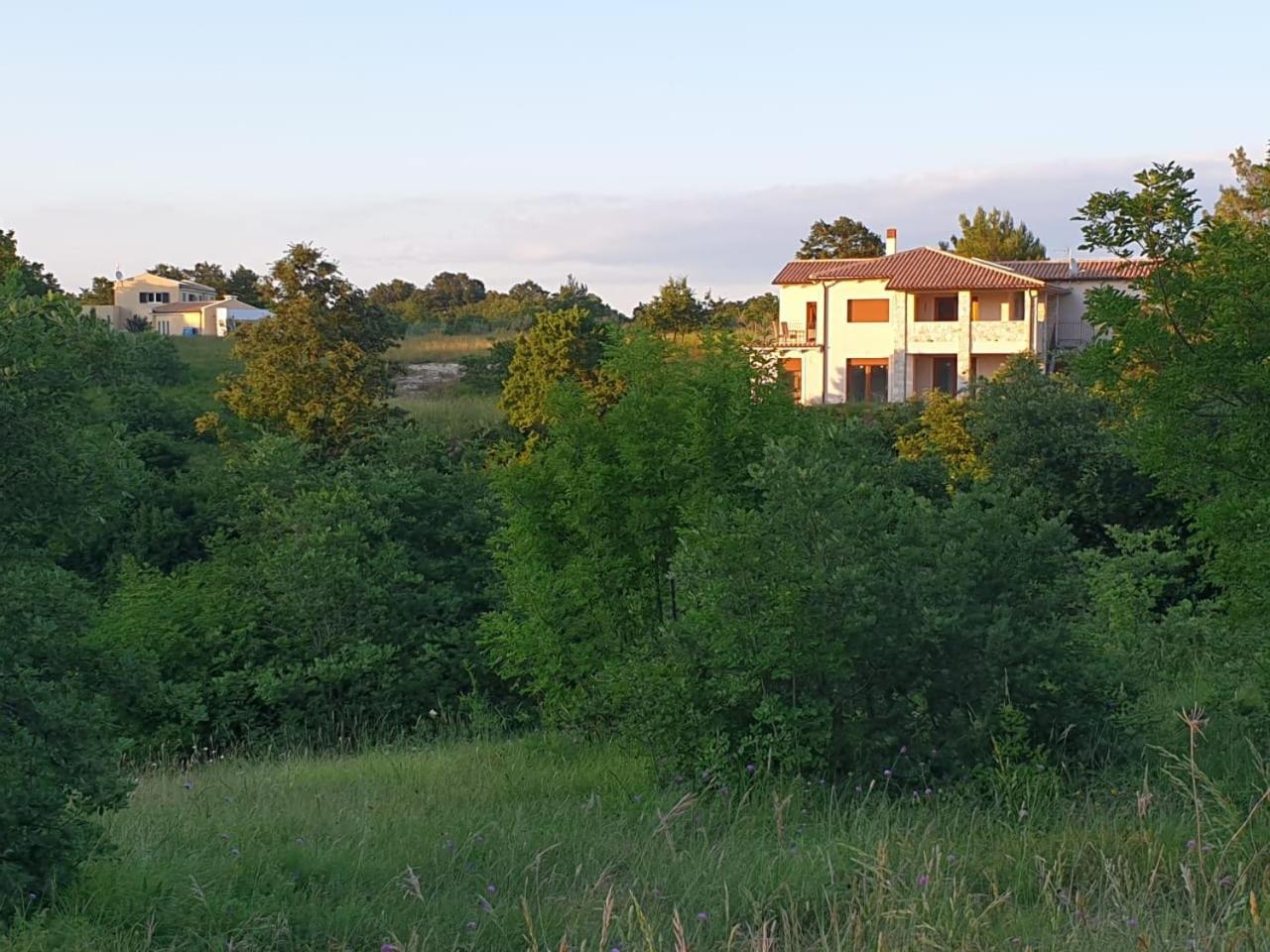 Apartment With Terrace photo 3