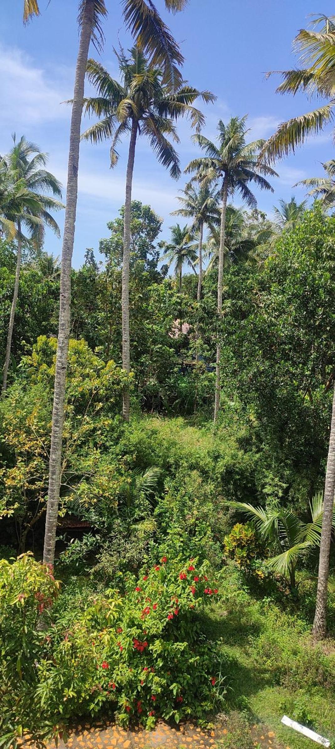 Double or Twin Room with Garden View photo 3